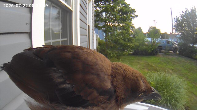 IMG_3120.jpeg