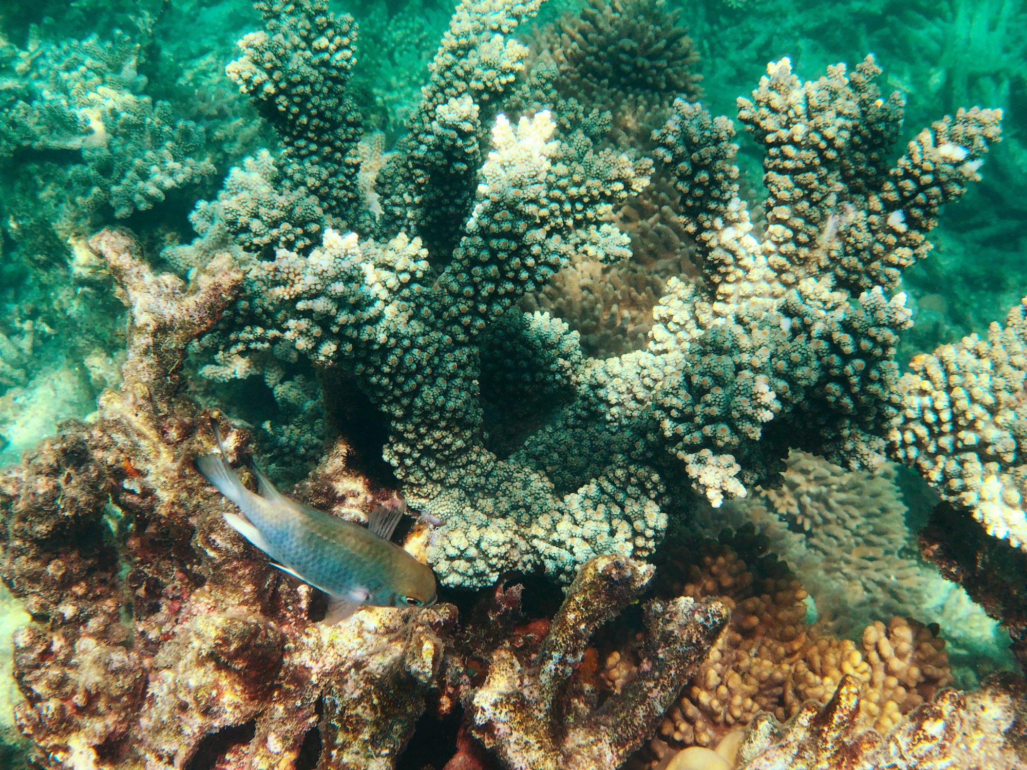 IMG_3187_polarr.jpeg