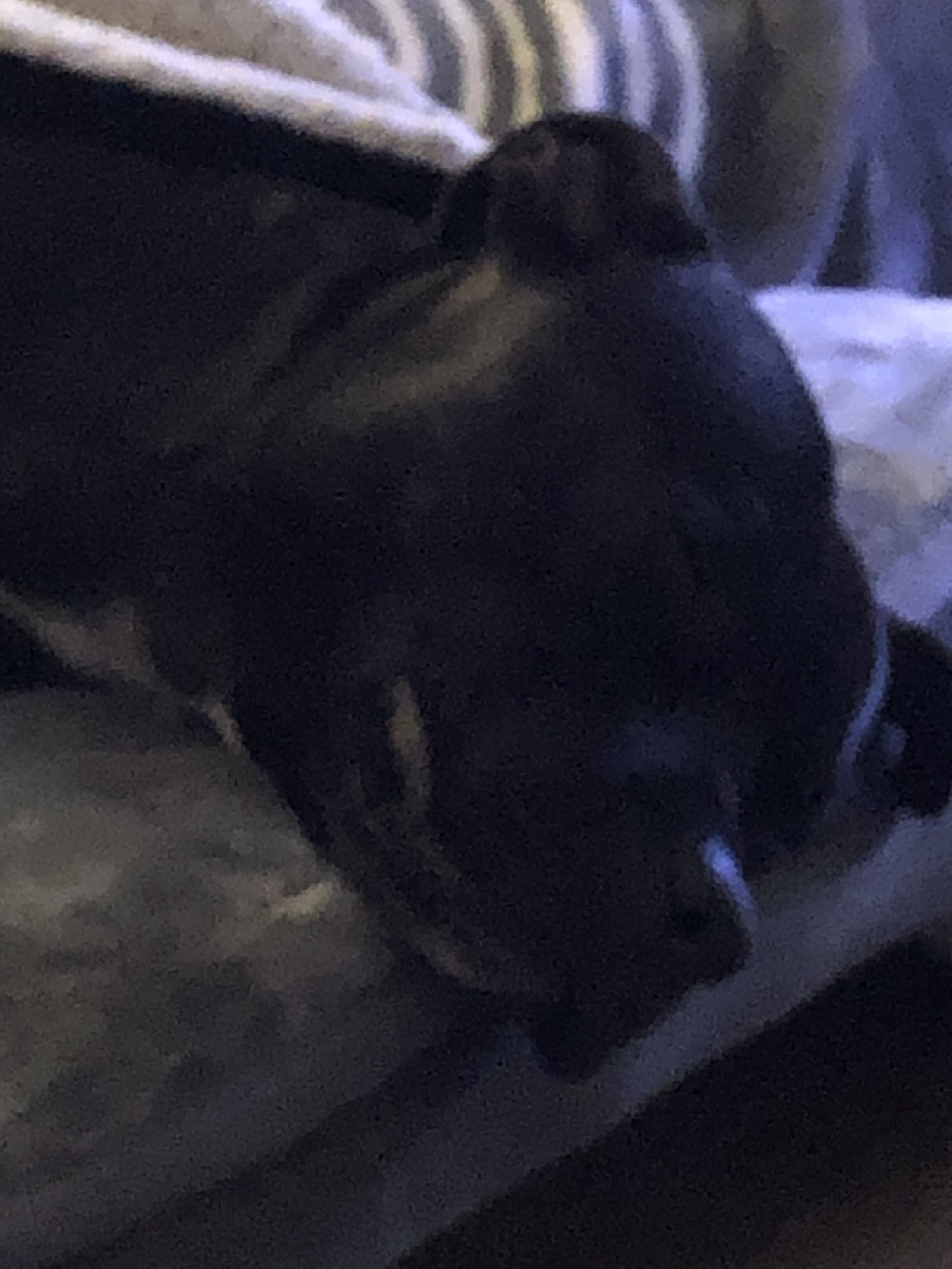 IMG_3224.jpeg