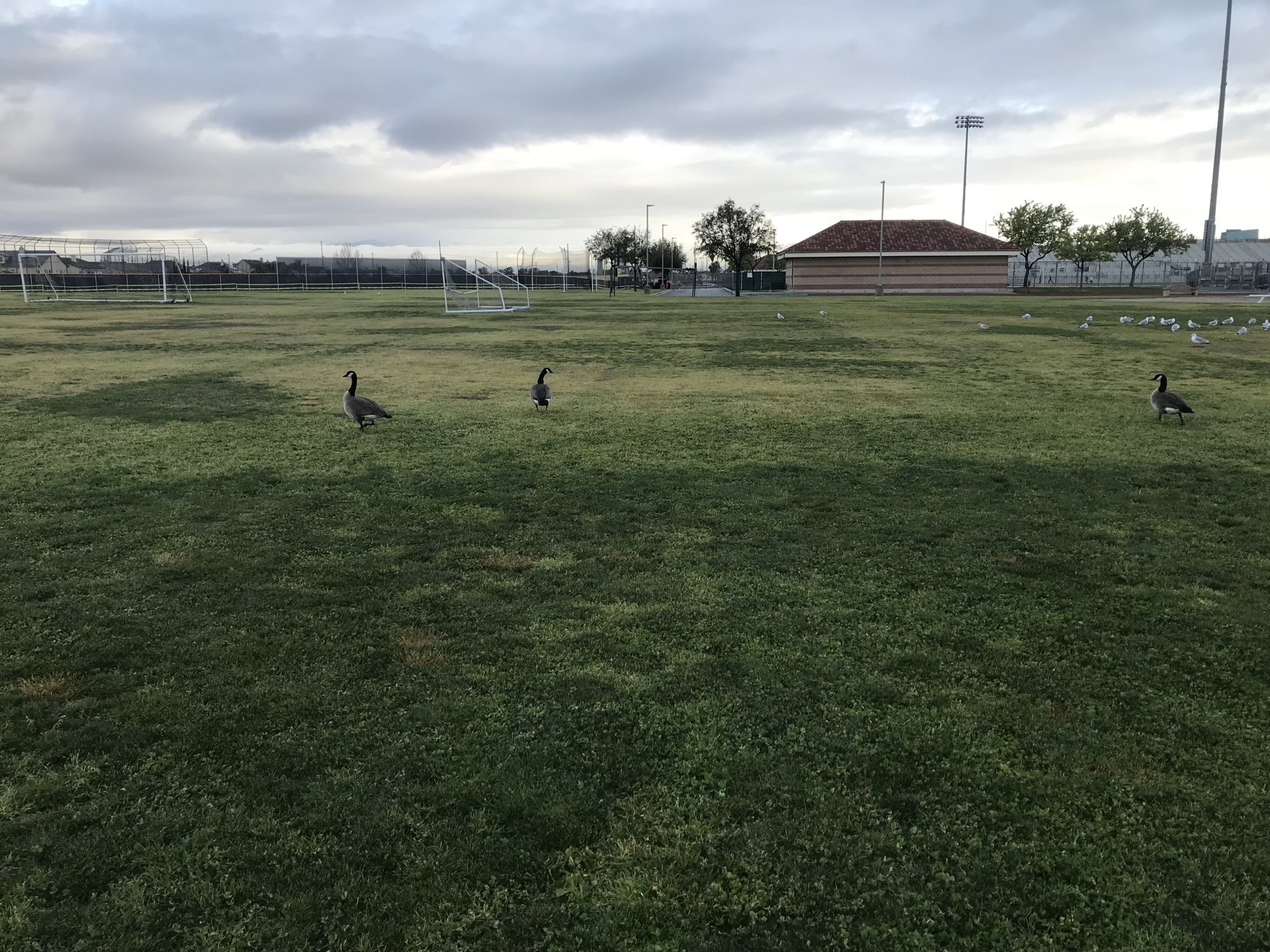 IMG_3292.jpeg