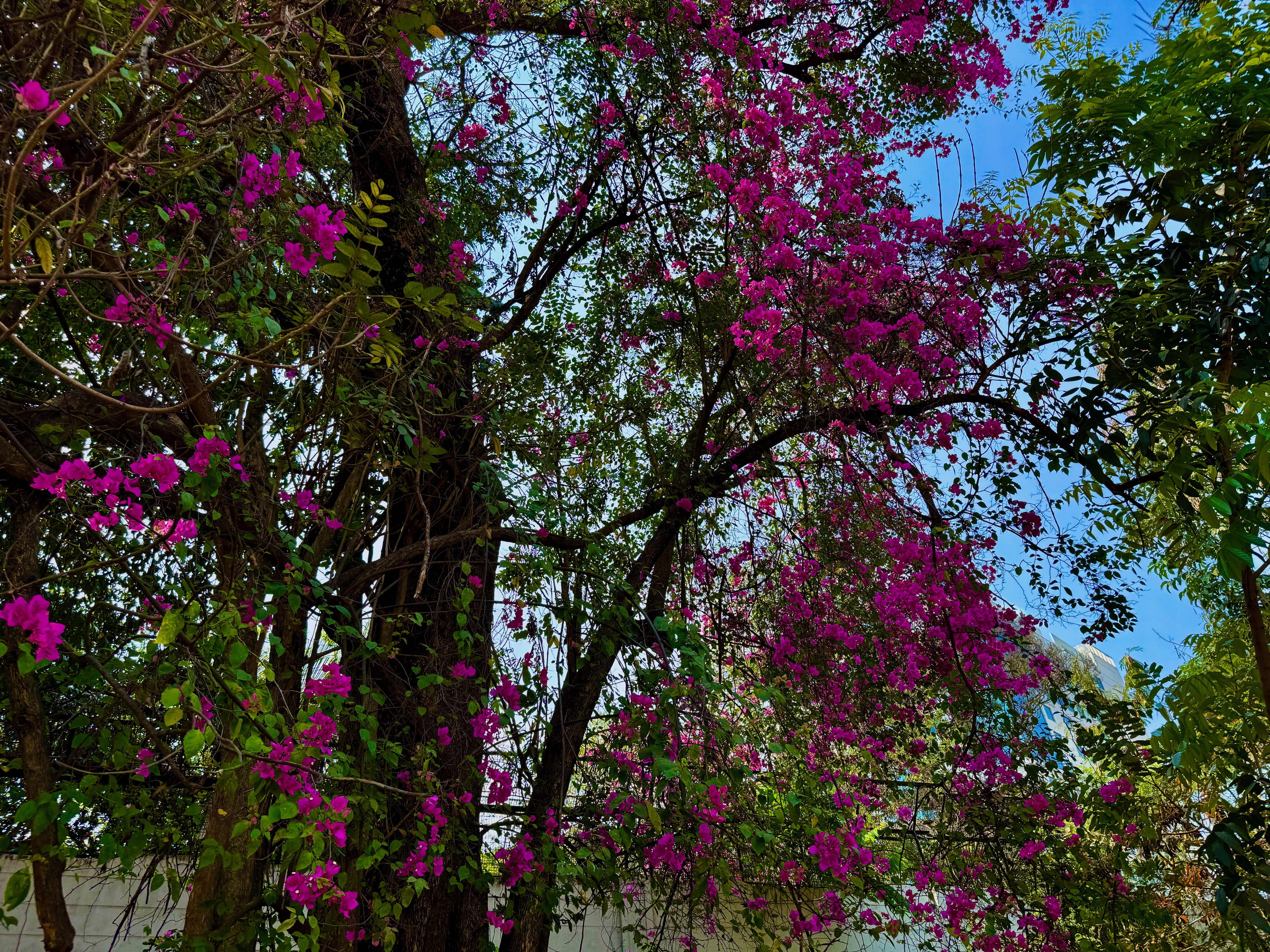 IMG_3308.jpeg