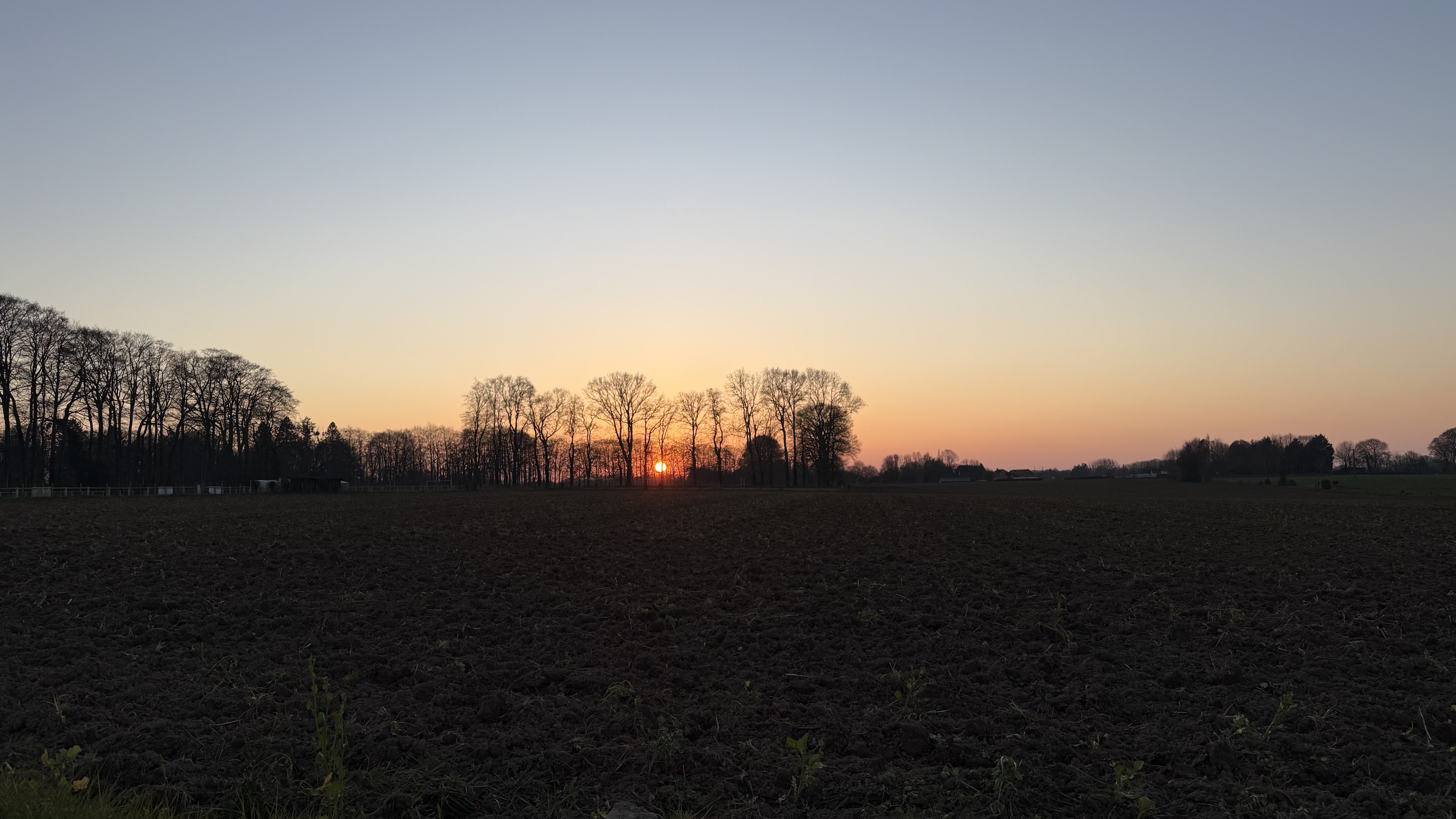 IMG_3322.jpeg