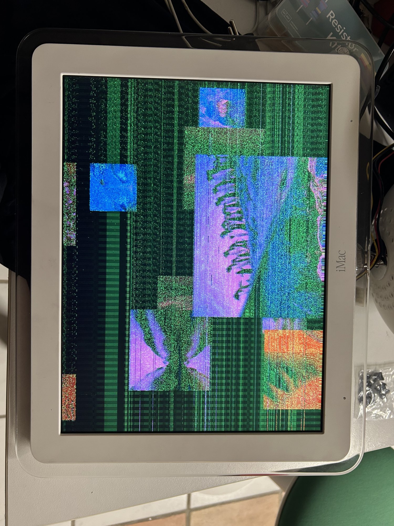 IMG_3443.jpeg
