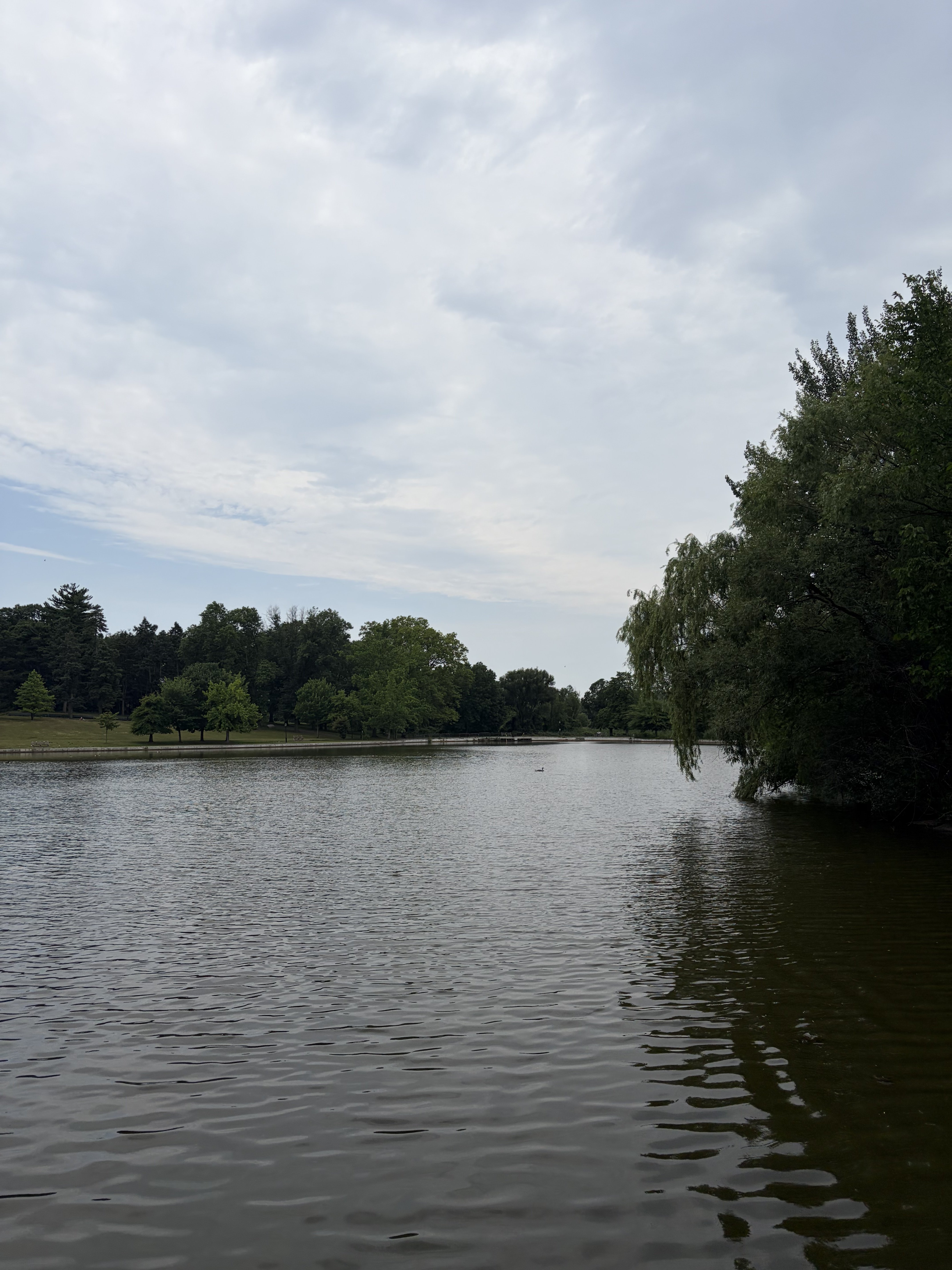 IMG_3465.jpeg
