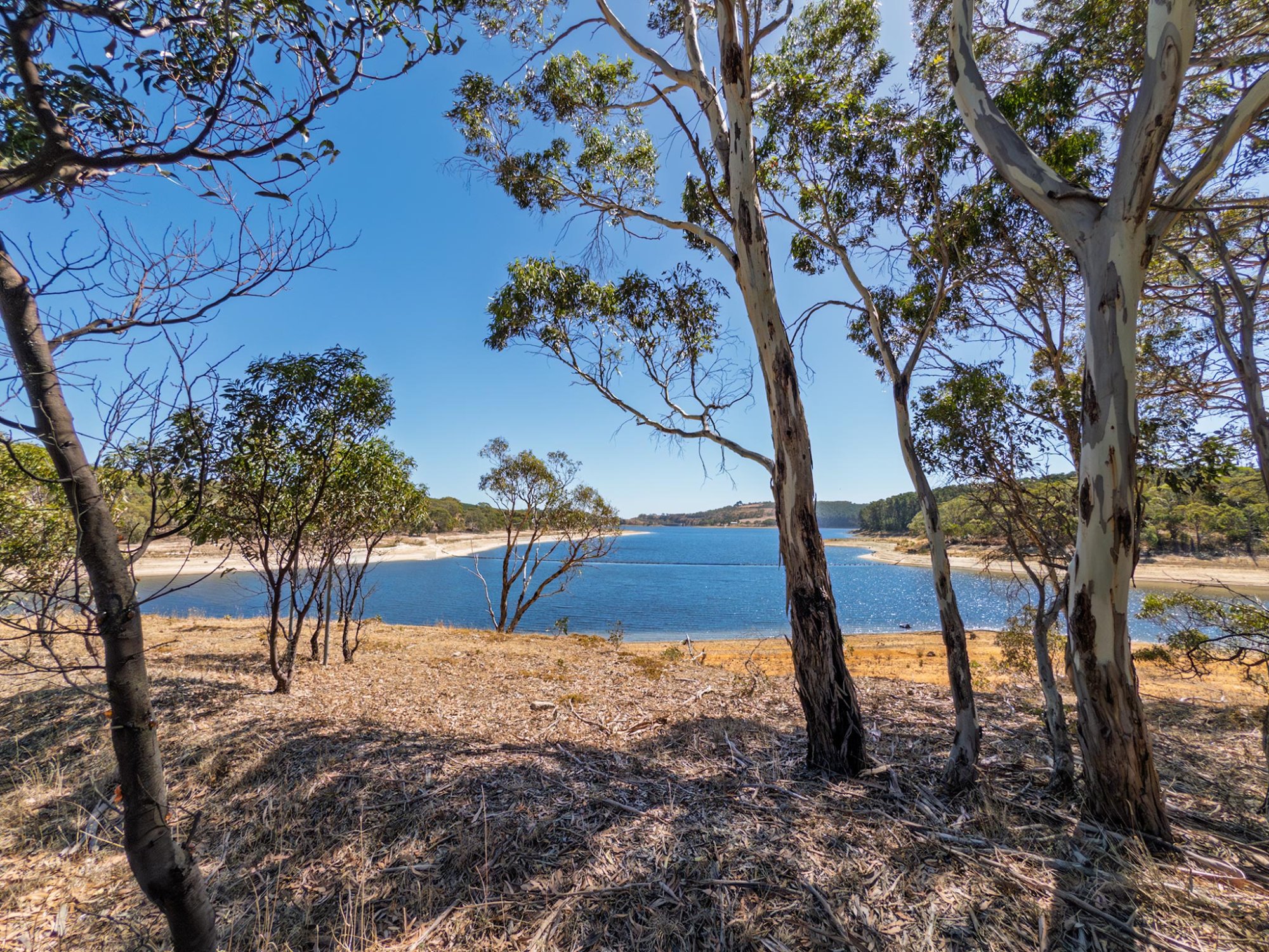 IMG_3480_Myponga_Reservoir.jpg