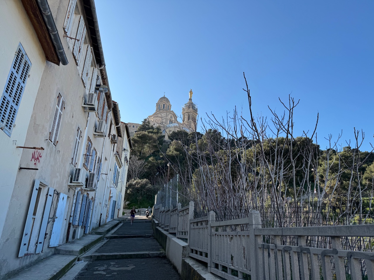IMG_3514.jpeg