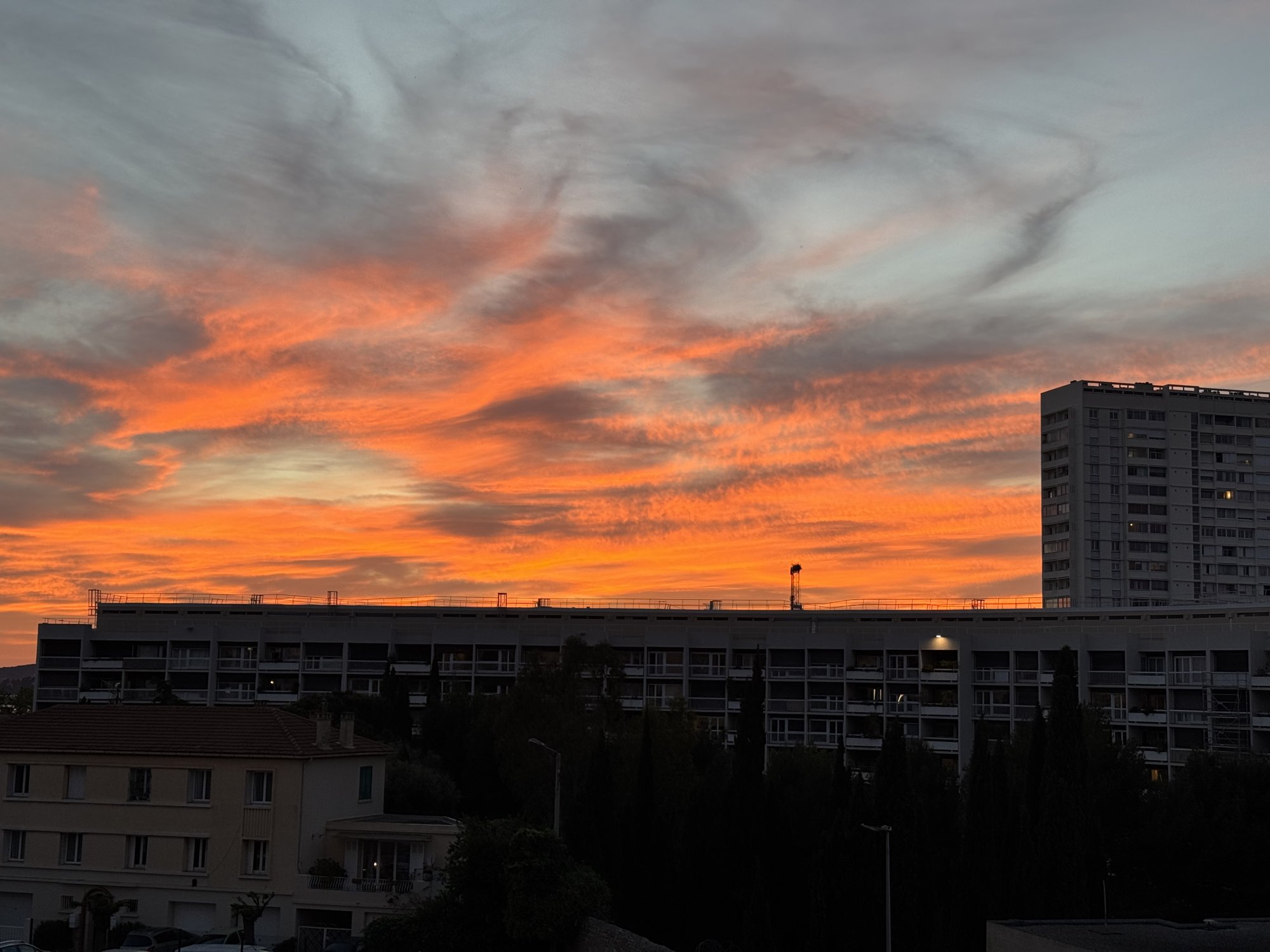 IMG_3681.jpeg