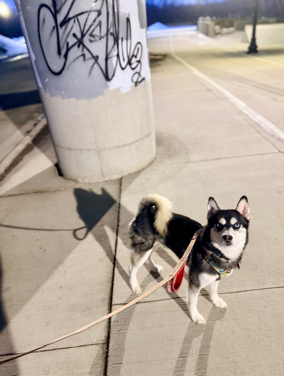 IMG_3849.jpeg