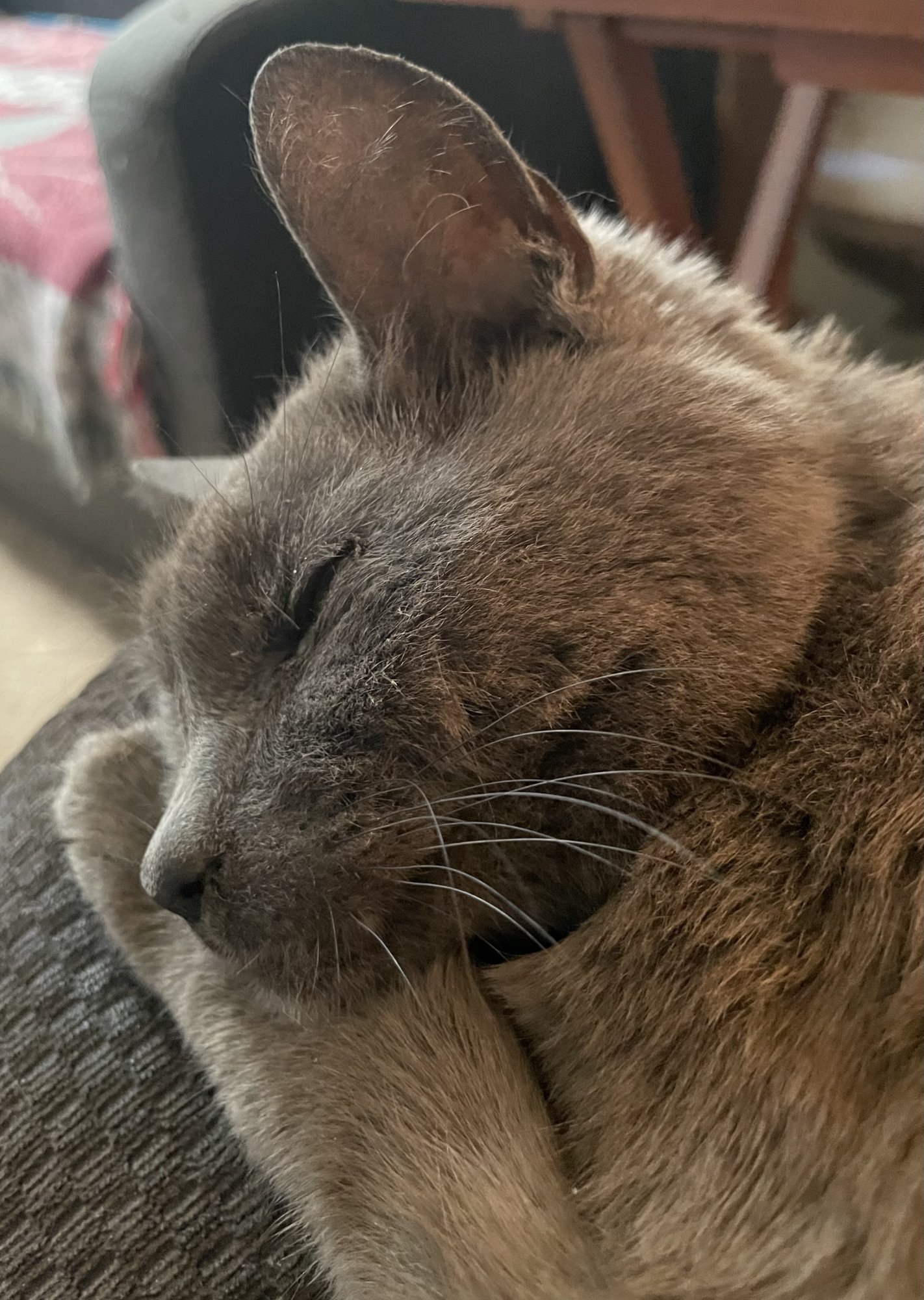 IMG_3851.jpeg