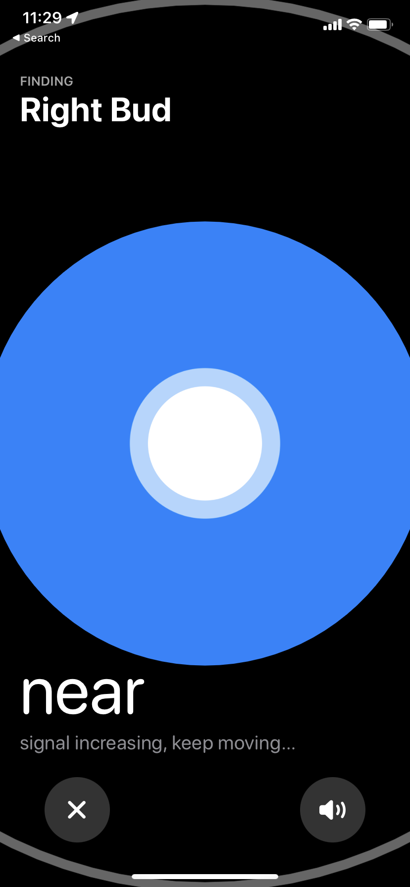 IMG_3967.PNG