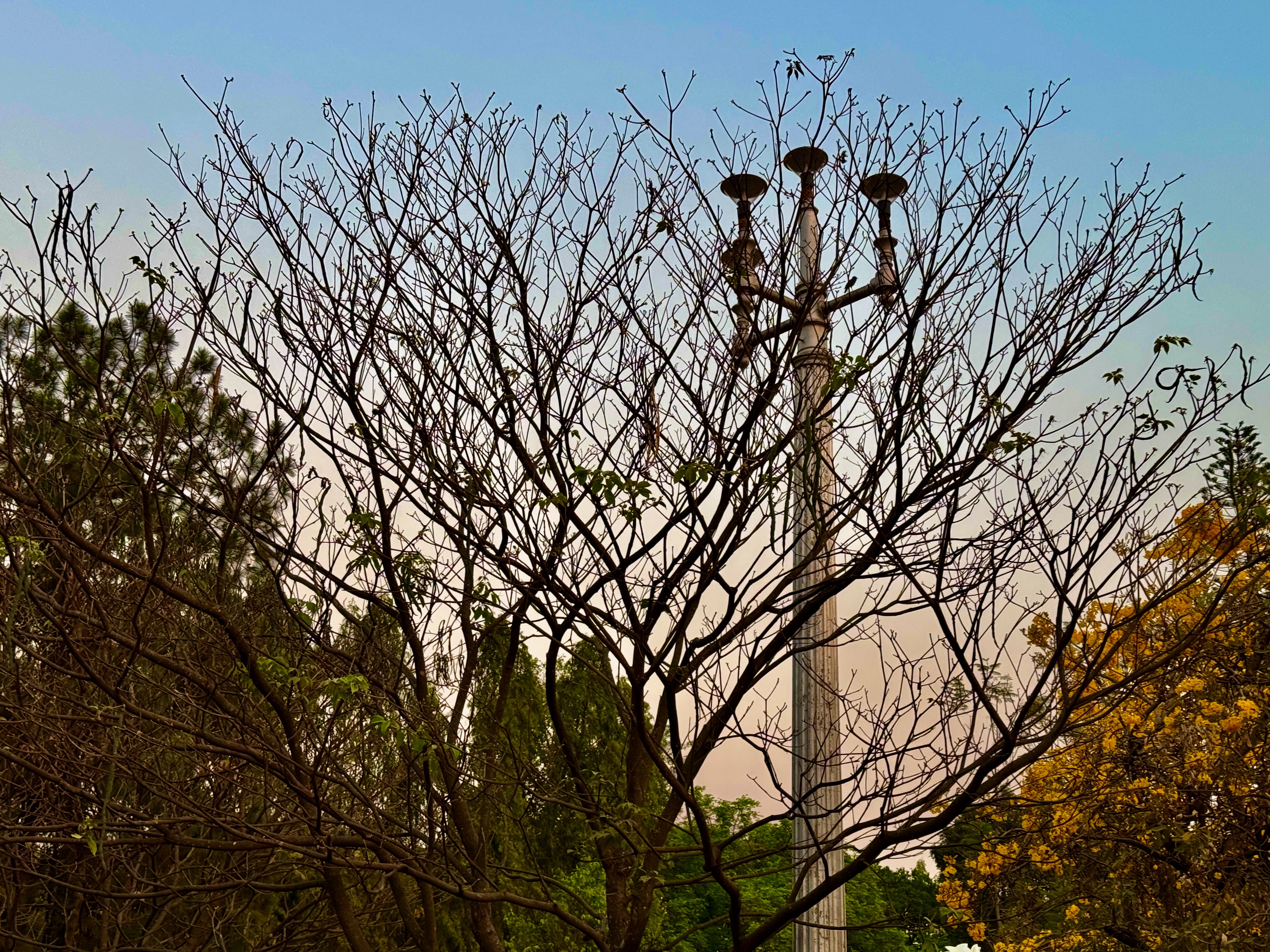 IMG_4041.jpeg