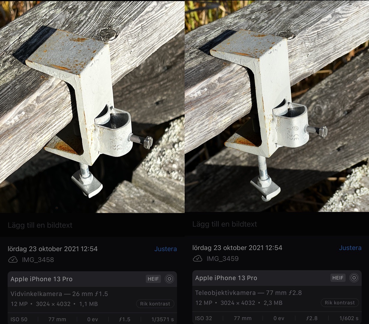 IMG_4064.JPEG