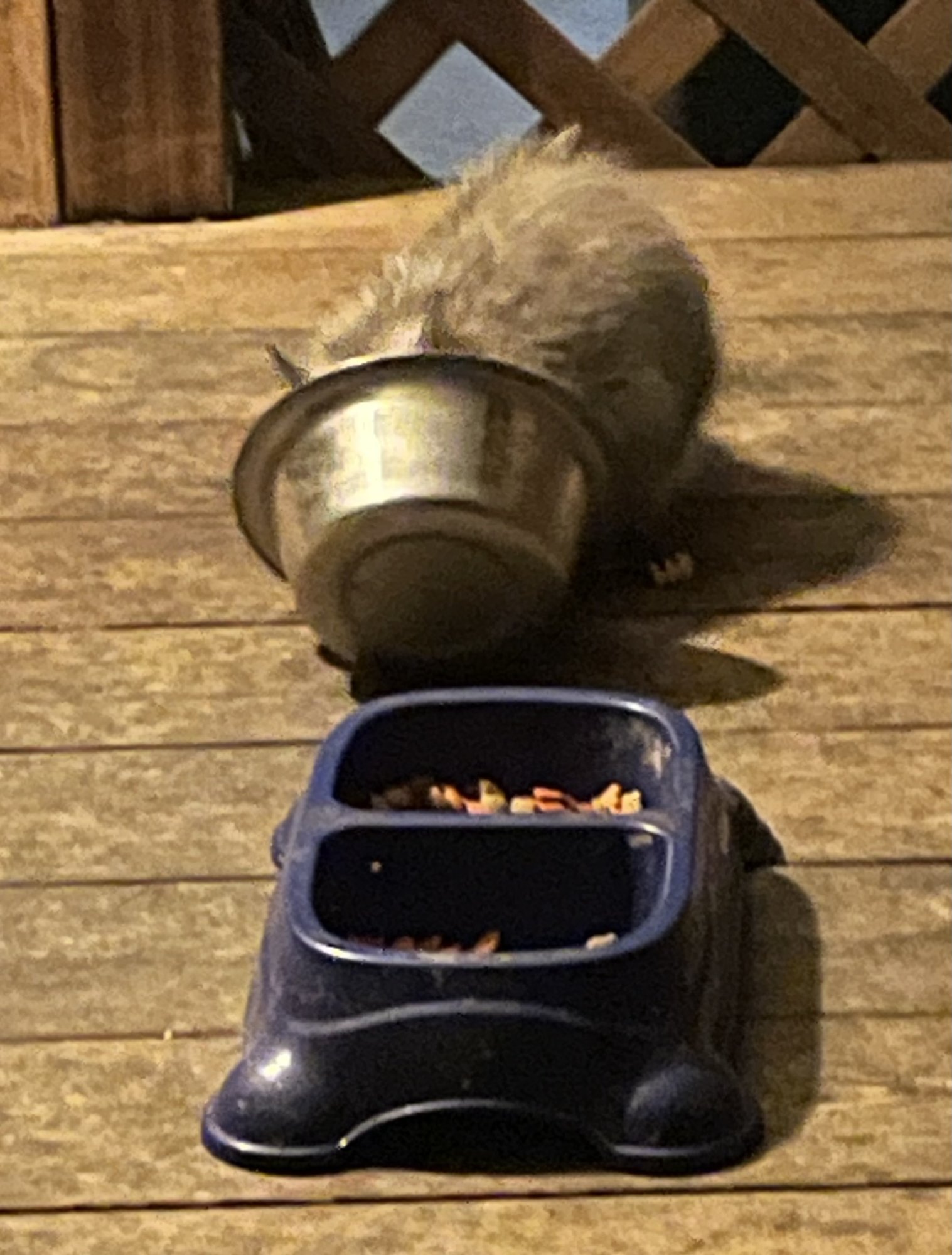 IMG_4096.jpeg