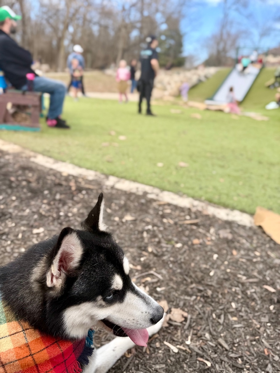 IMG_4231.jpeg