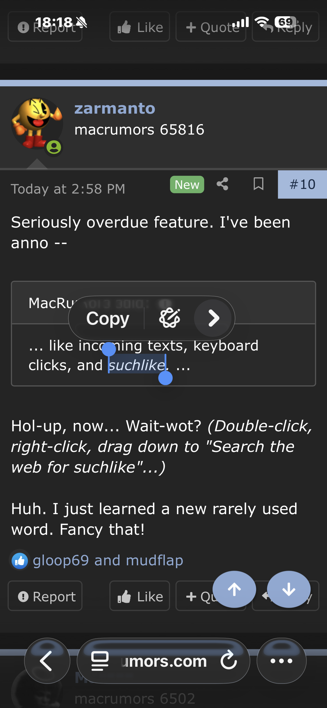IMG_4234.png