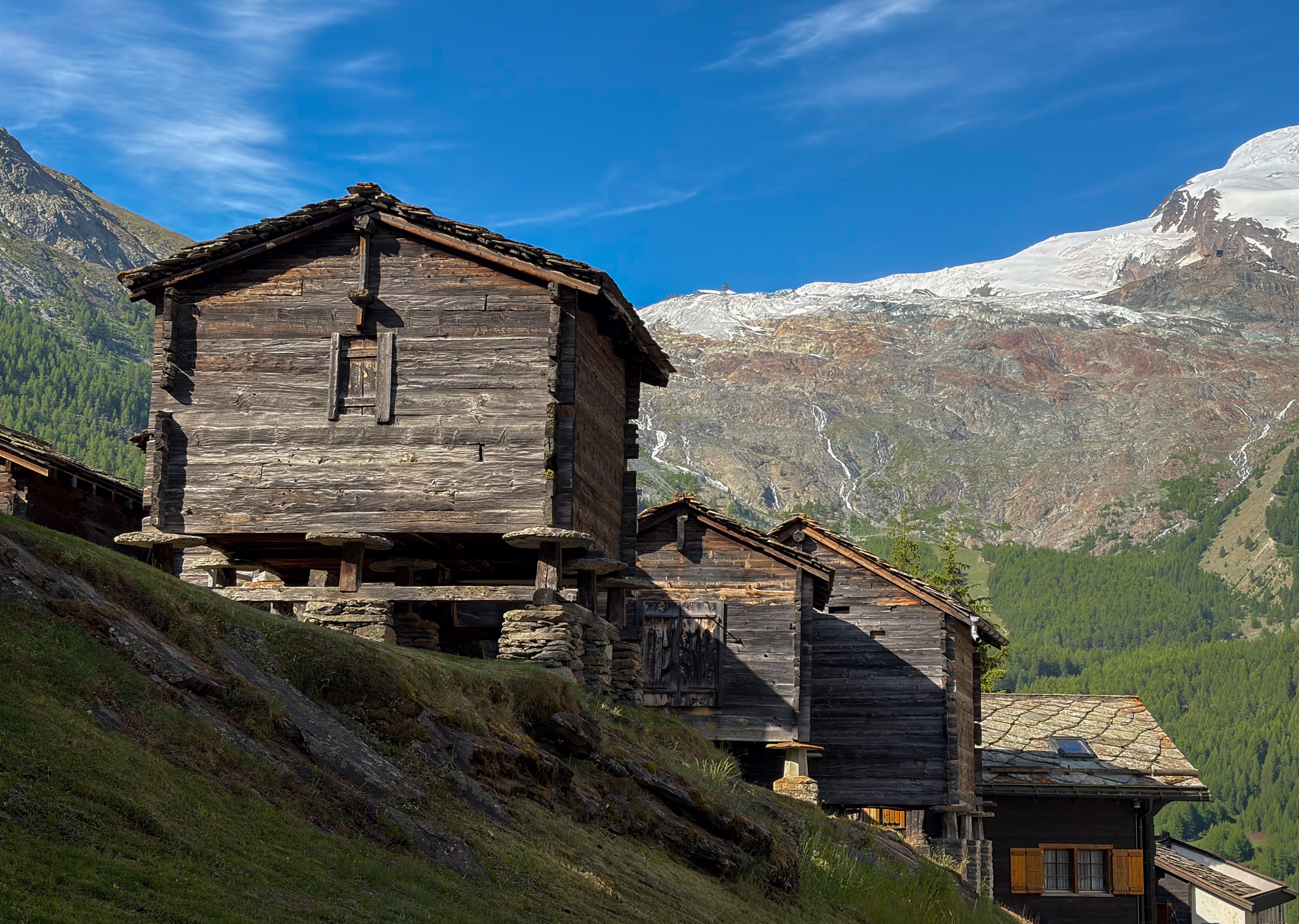 IMG_4304.jpeg