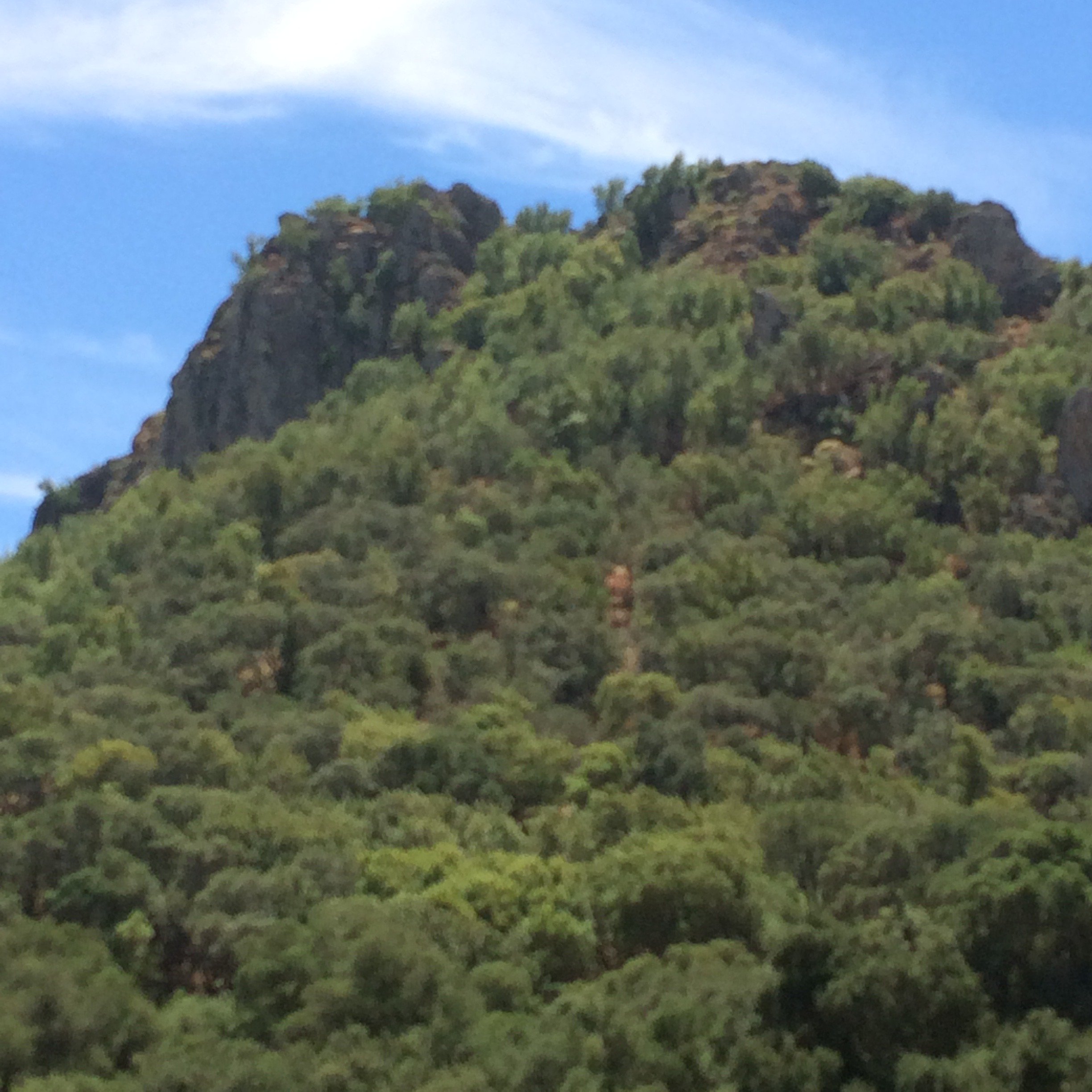 IMG_4468.jpeg