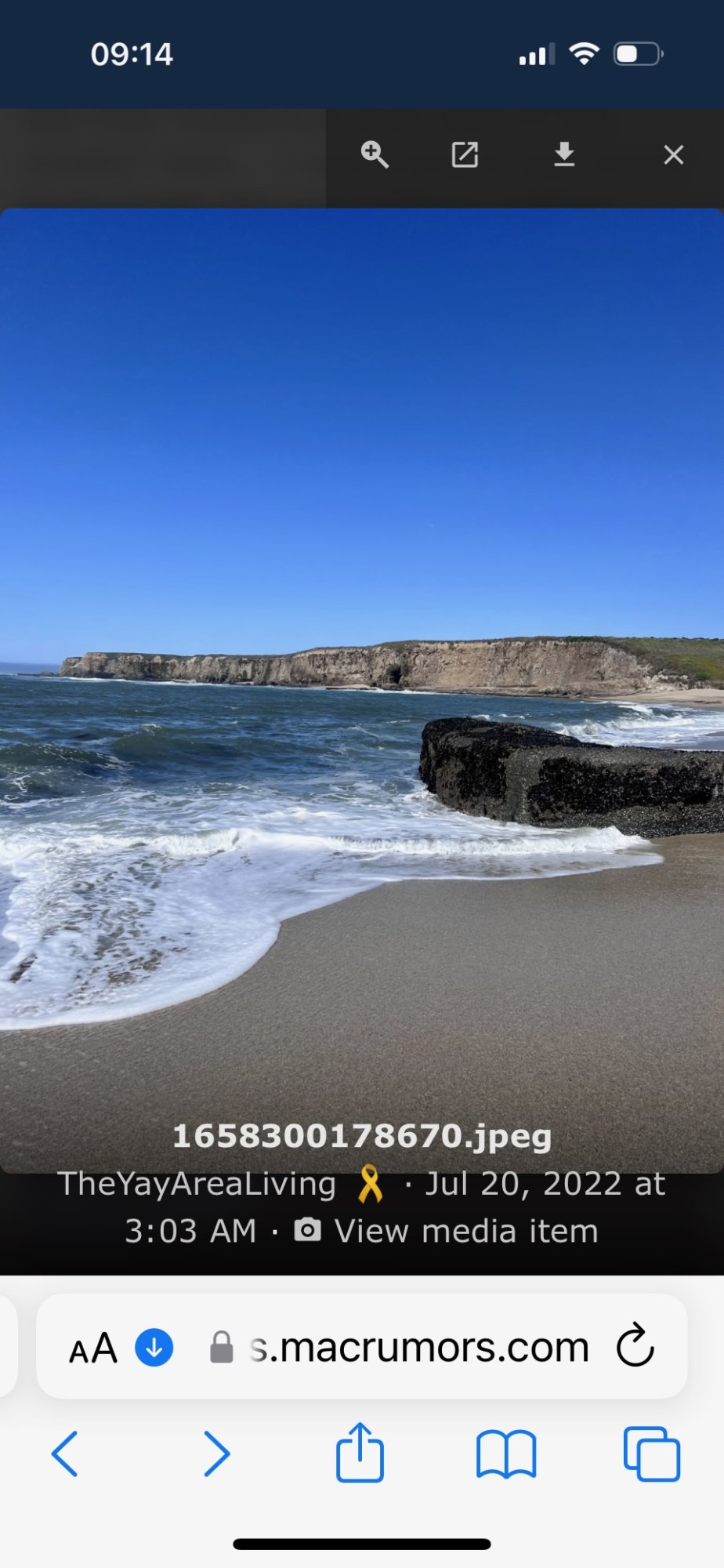 IMG_4493.jpeg