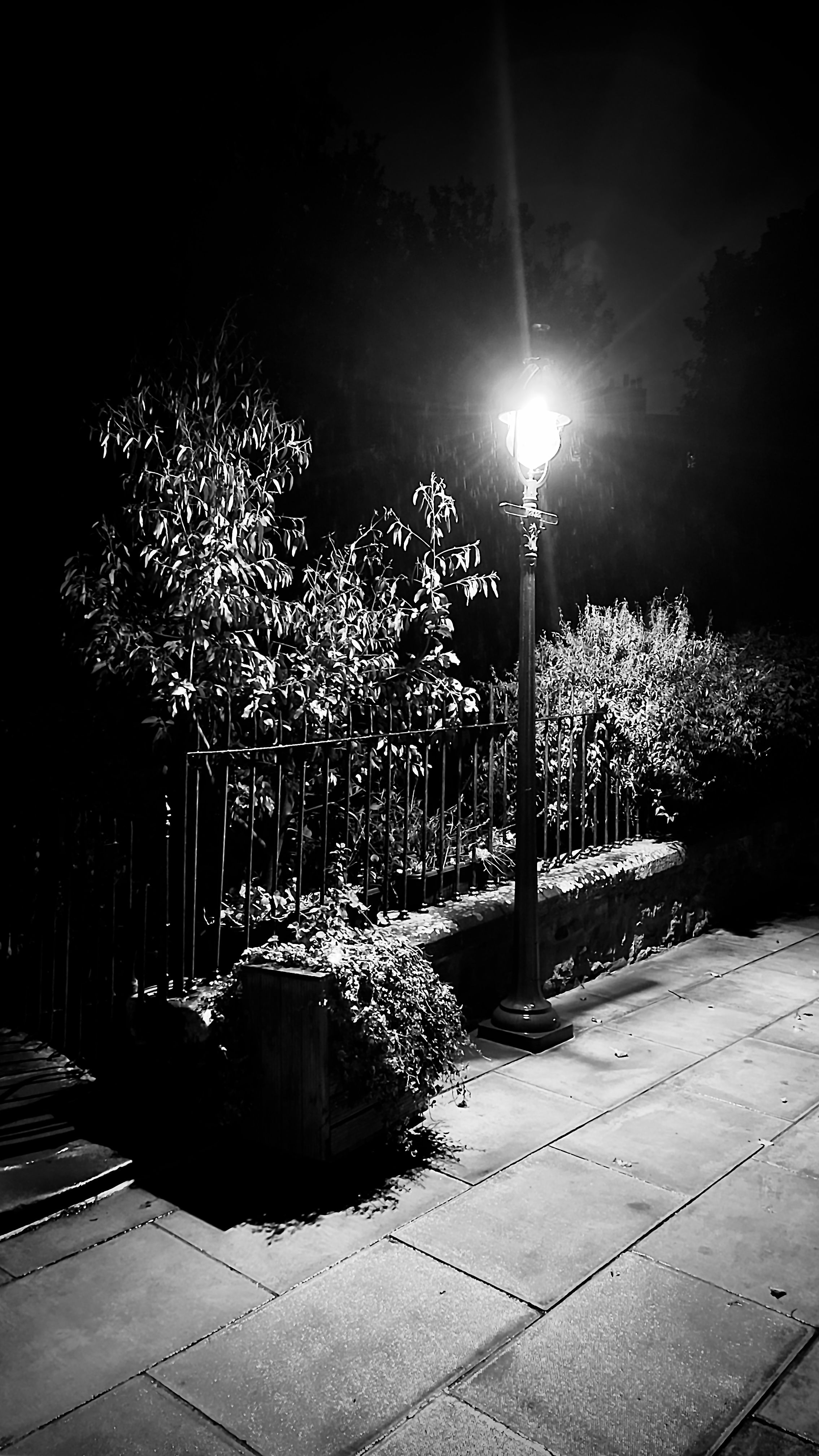 IMG_4511.jpeg