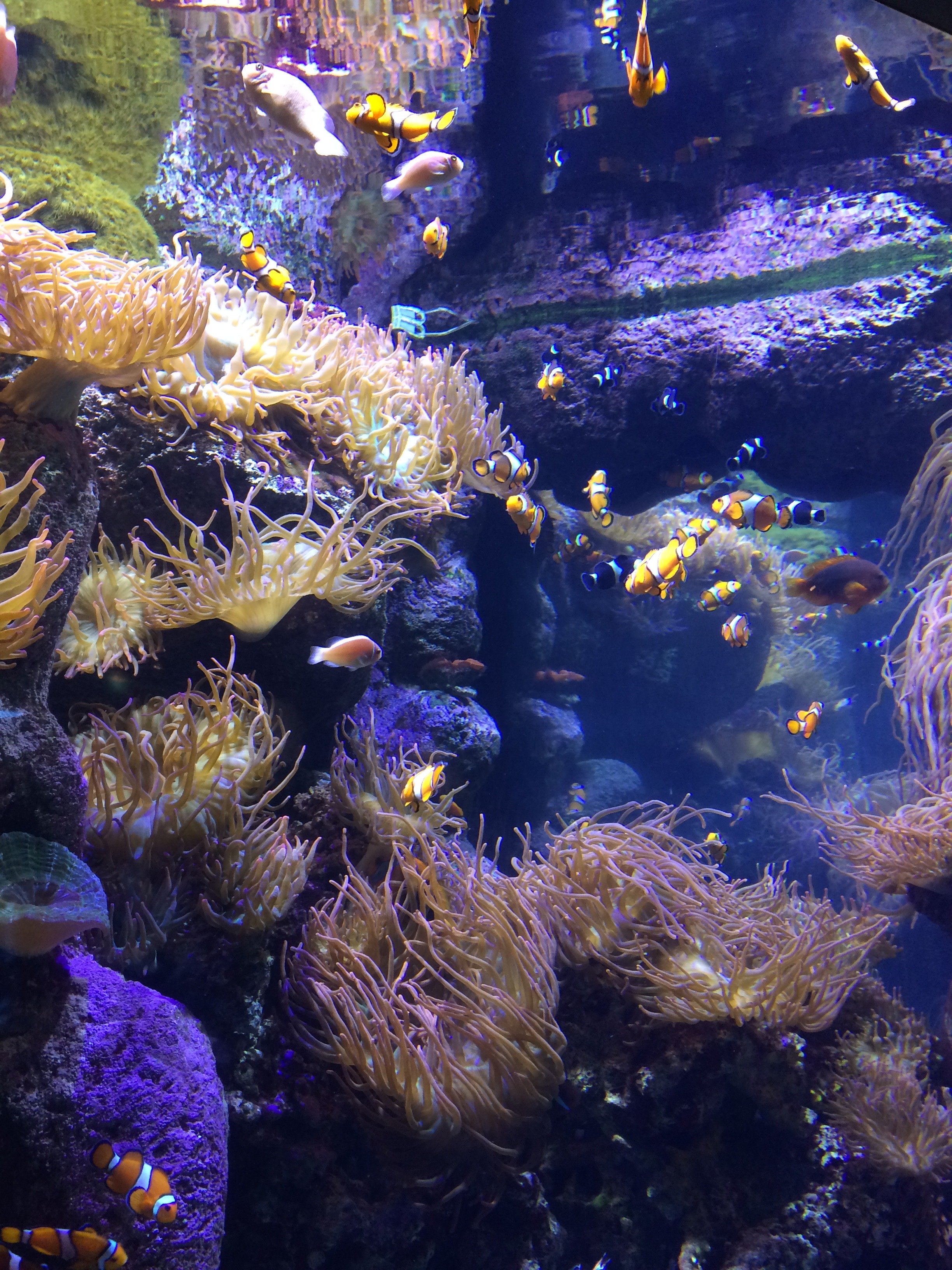 IMG_4691.jpeg