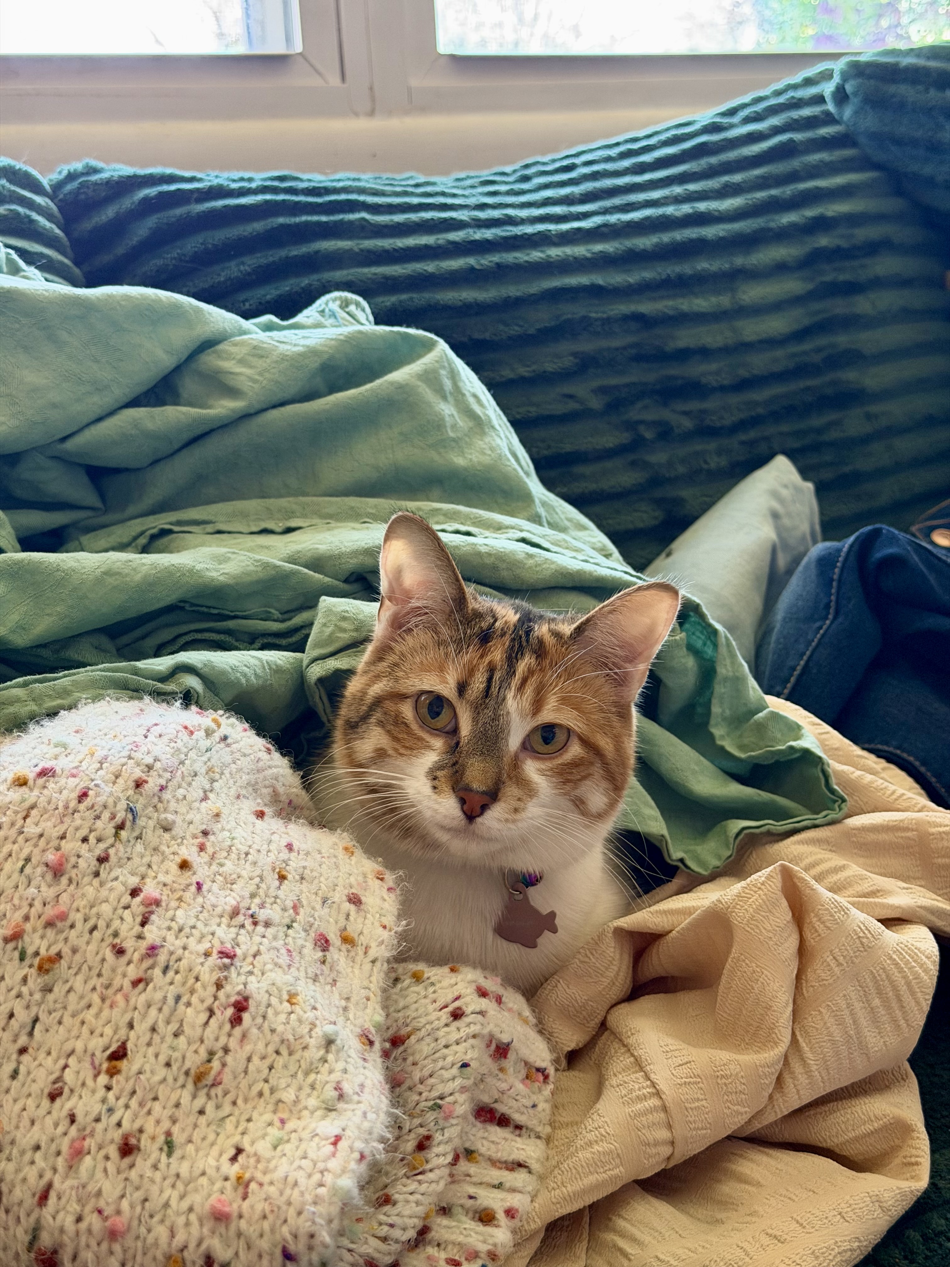 IMG_4714.jpeg
