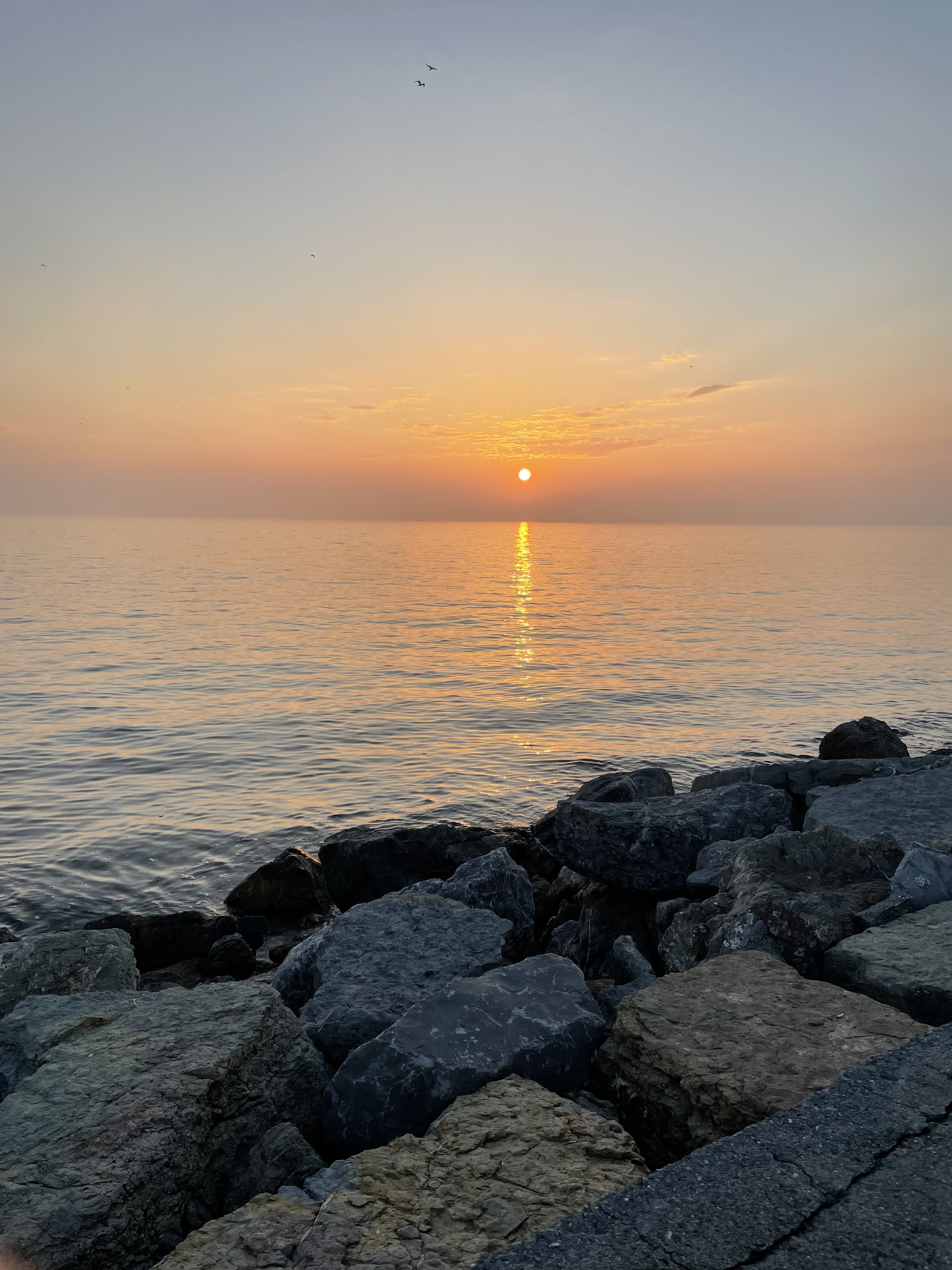 IMG_4911.jpeg