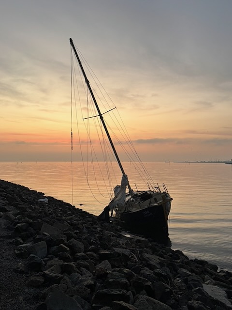 IMG_4963.jpeg