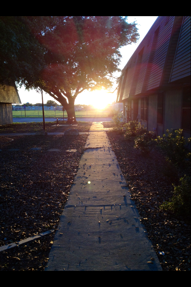 IMG_5036.PNG