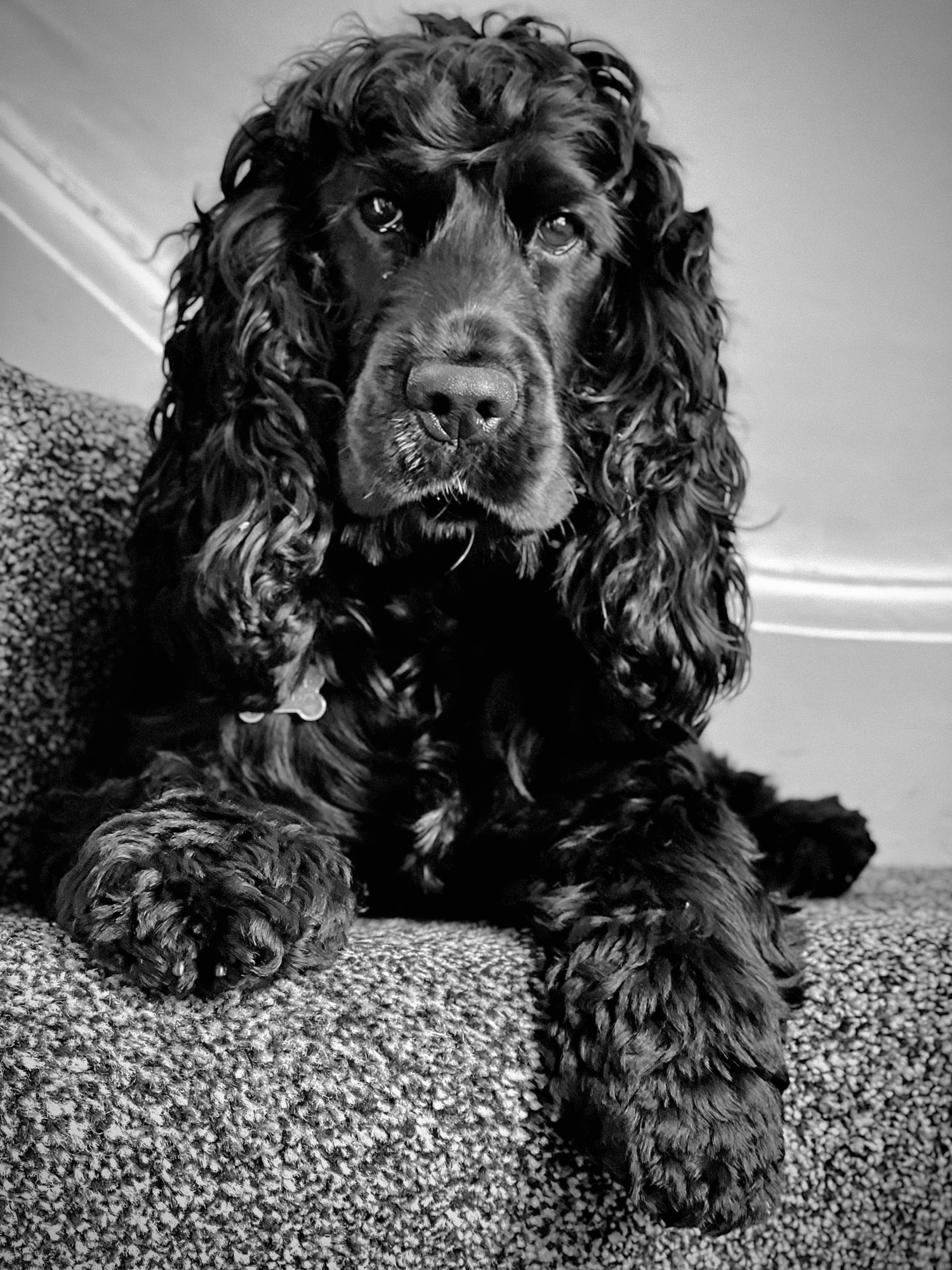 IMG_5140.jpeg