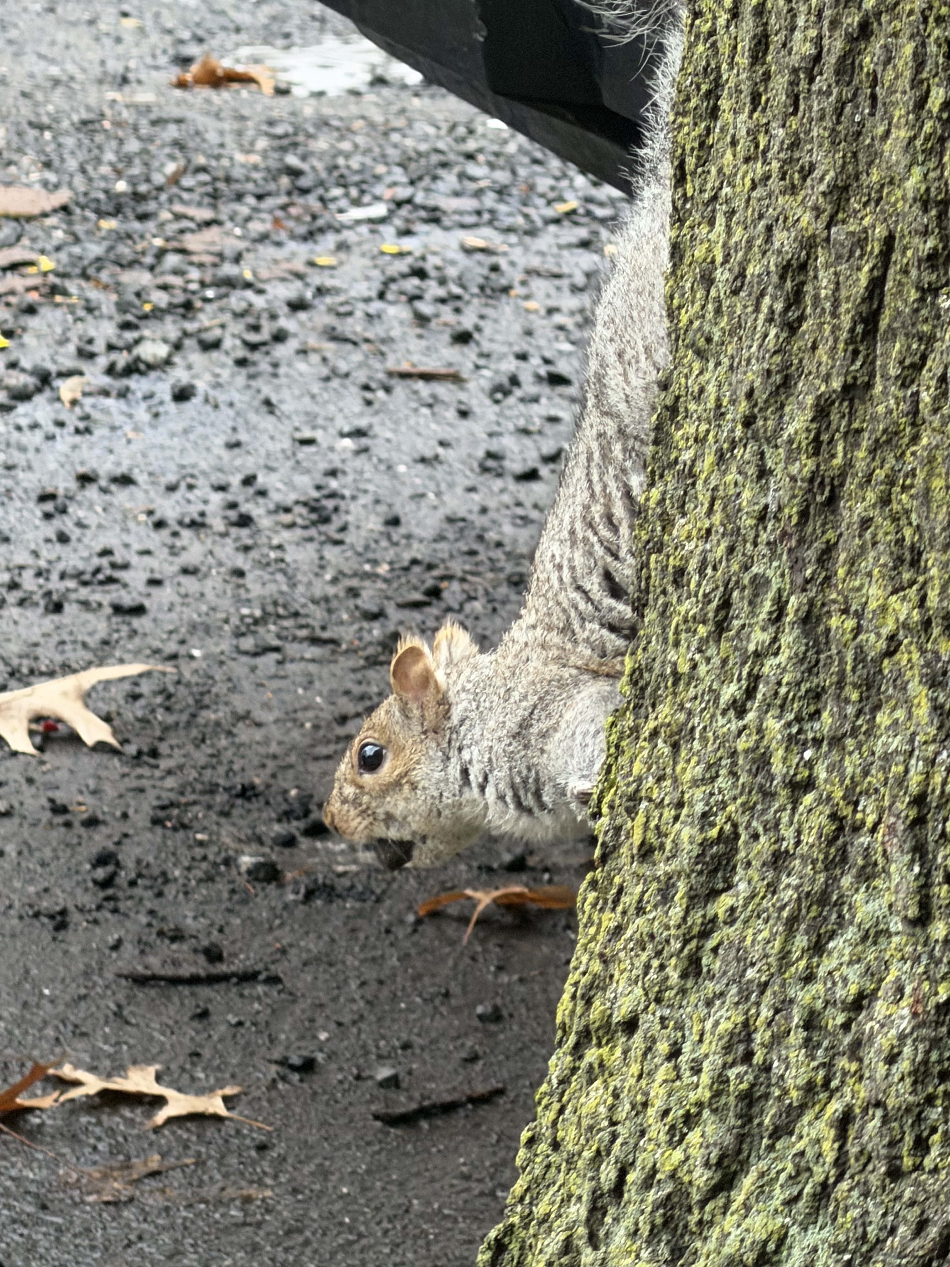 IMG_5289.jpeg