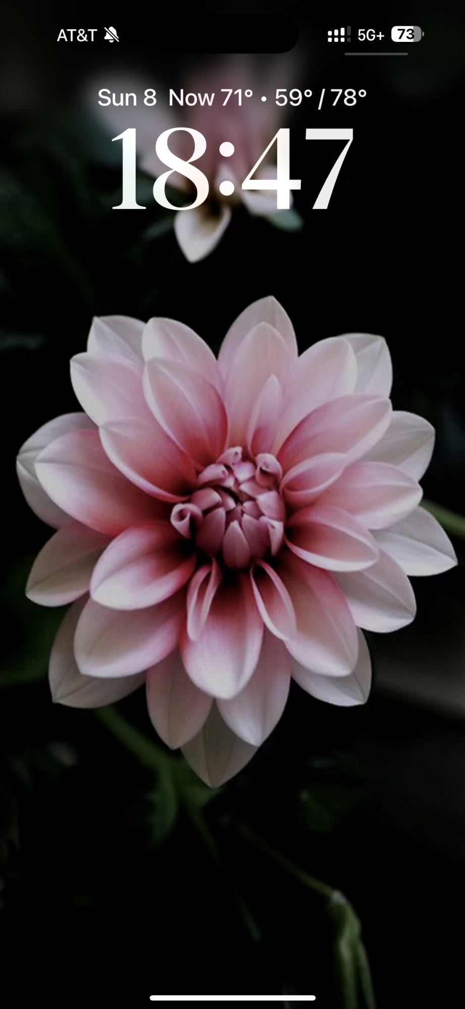 IMG_5307.png