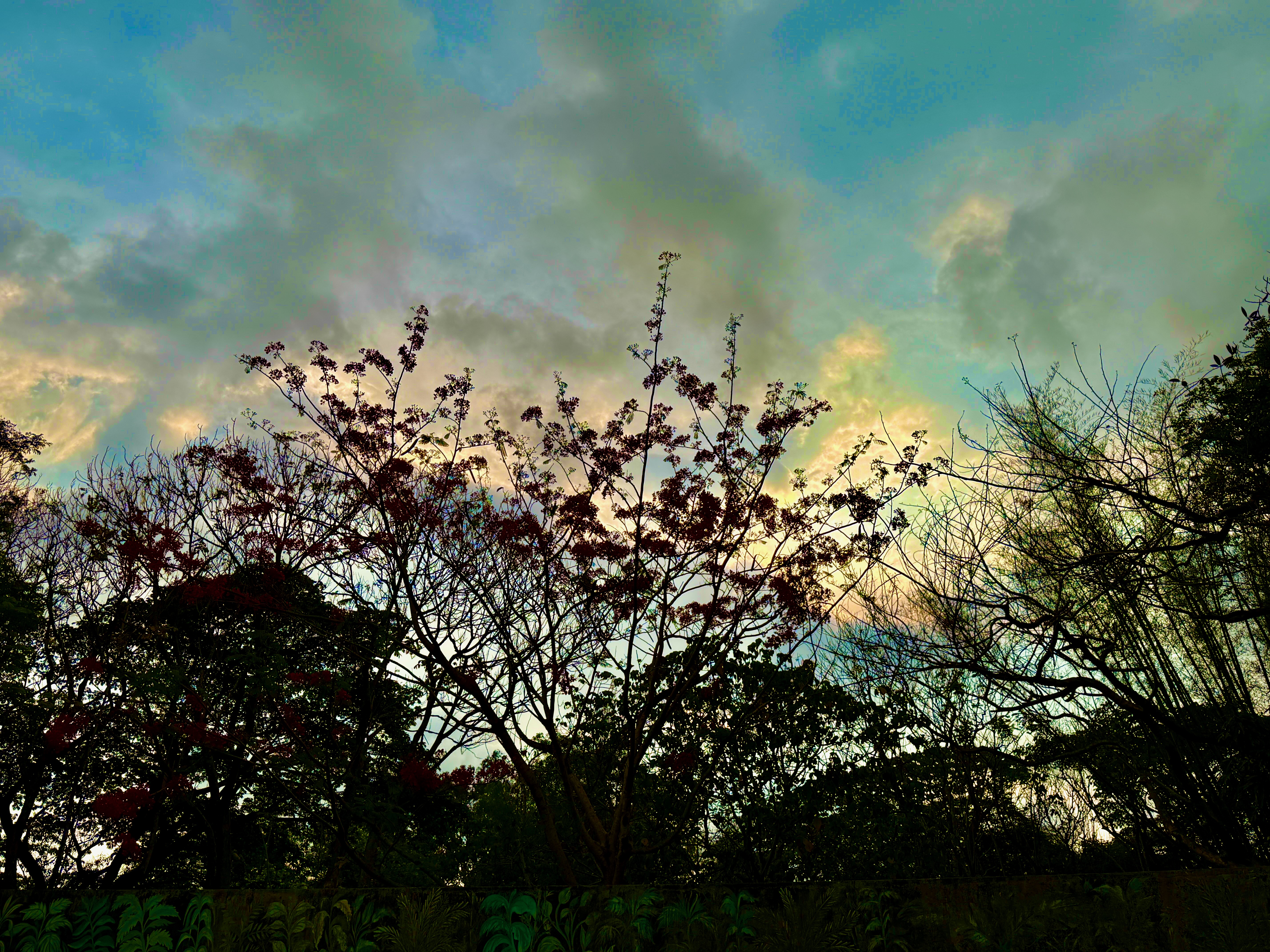 IMG_5345.jpeg