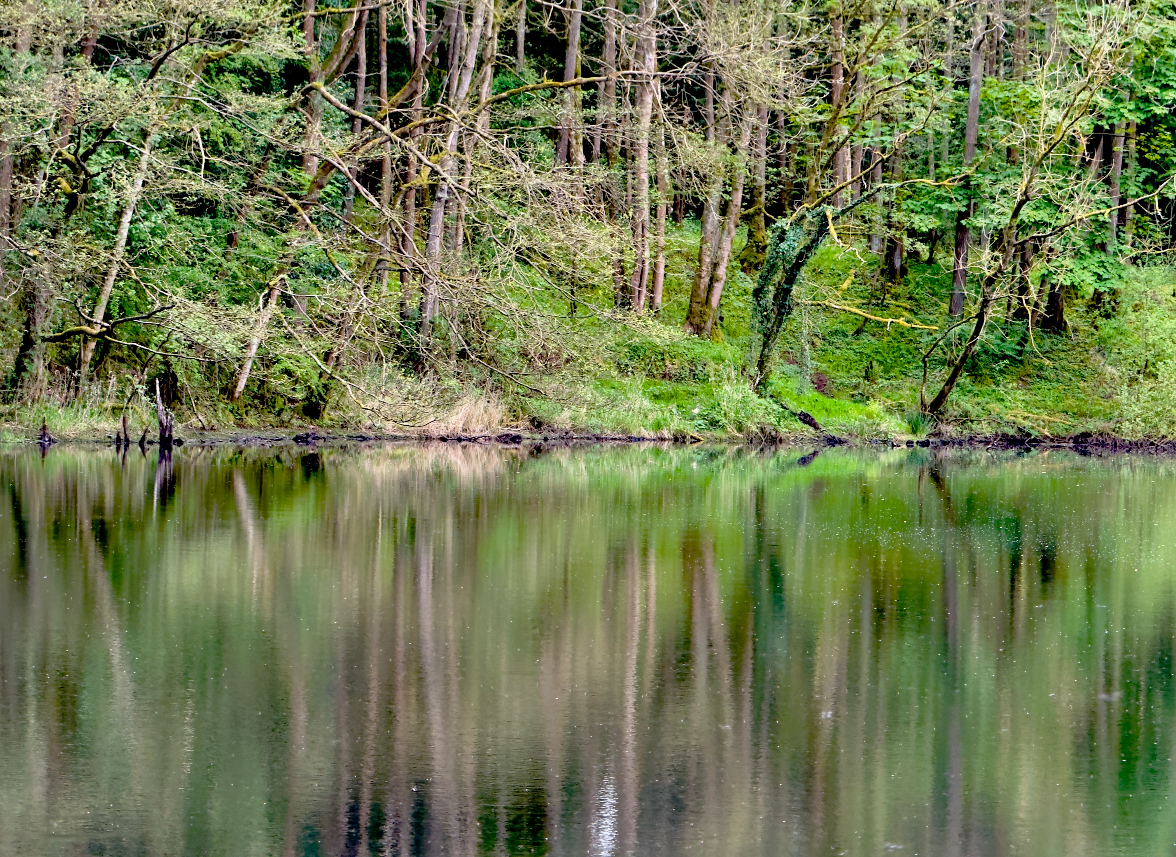IMG_5380.jpeg