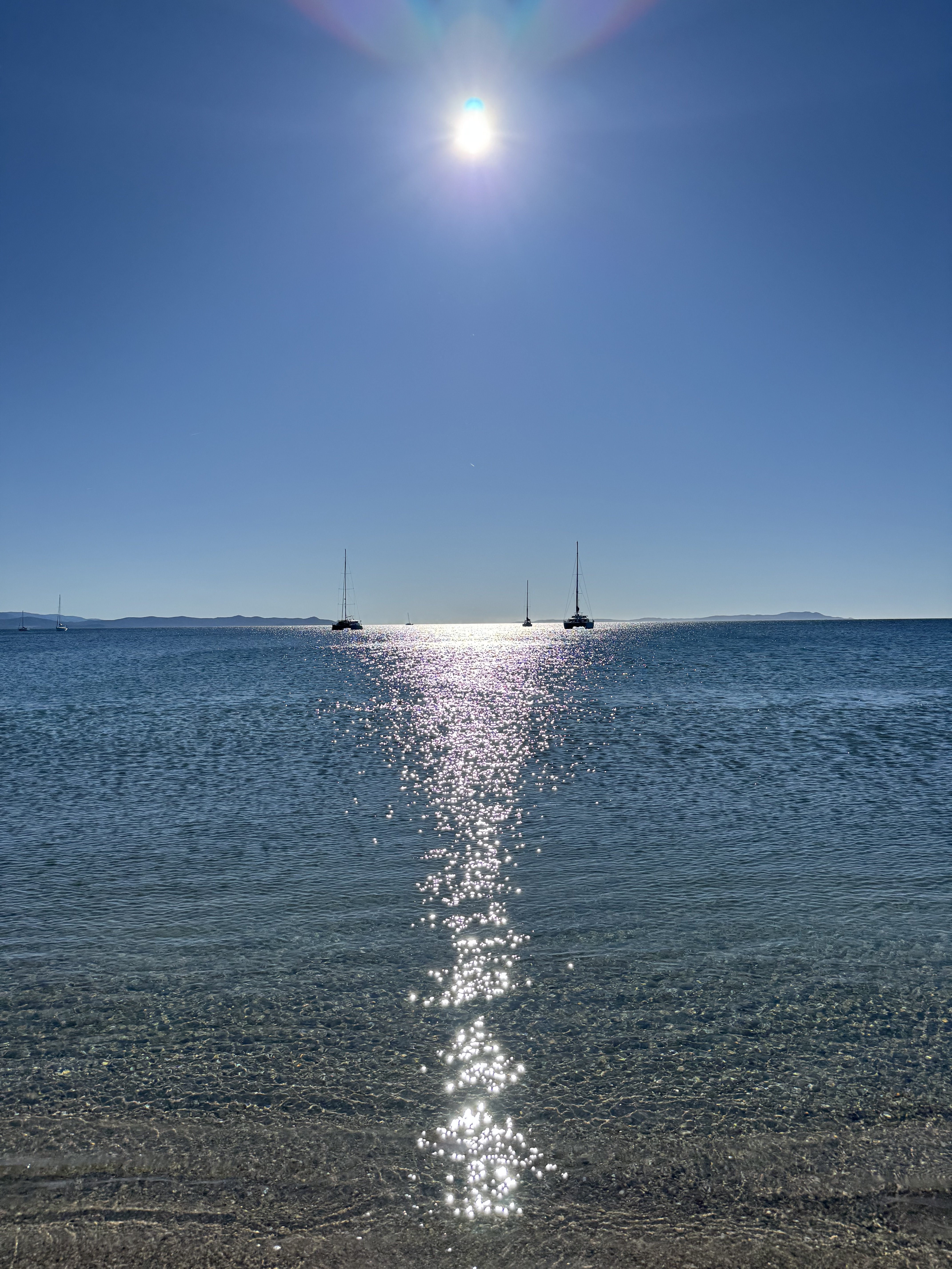 IMG_5384.jpeg
