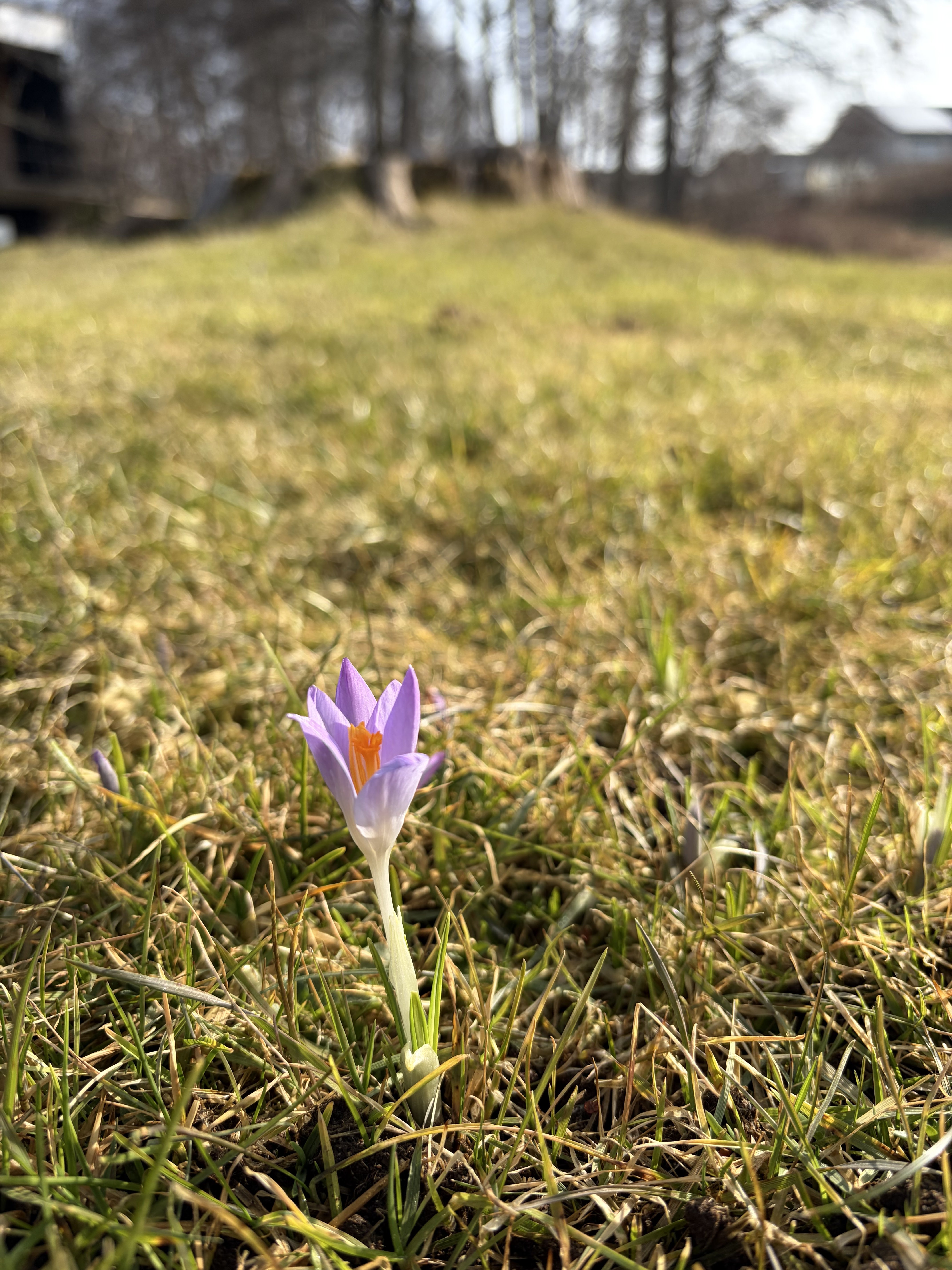 IMG_5490.jpeg