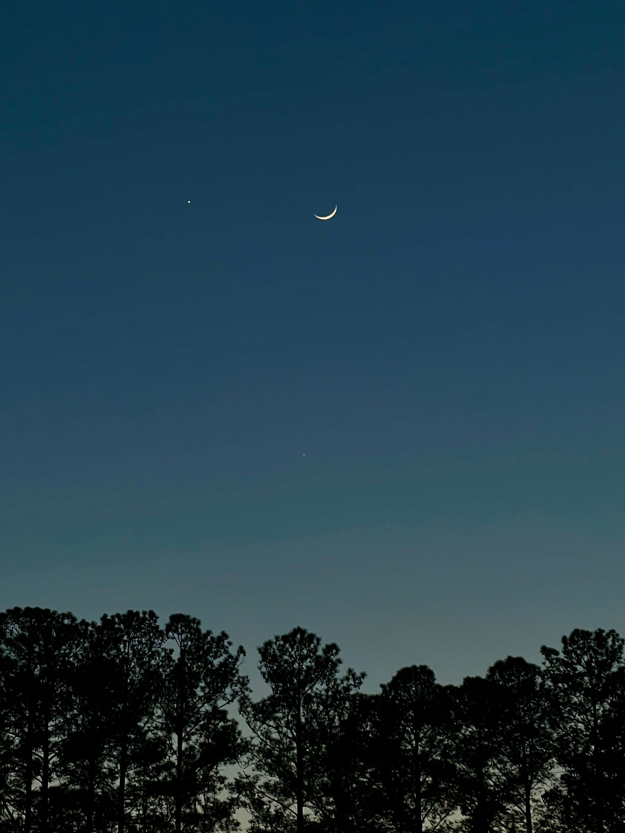 IMG_5570.jpeg