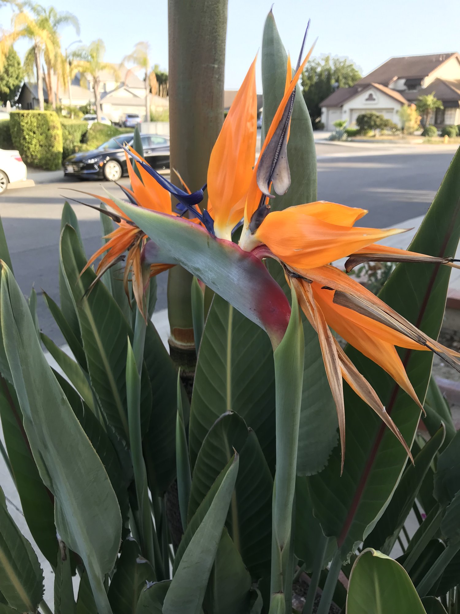 IMG_5572.jpeg