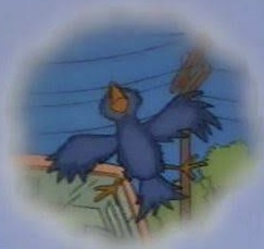 IMG_5614.jpeg