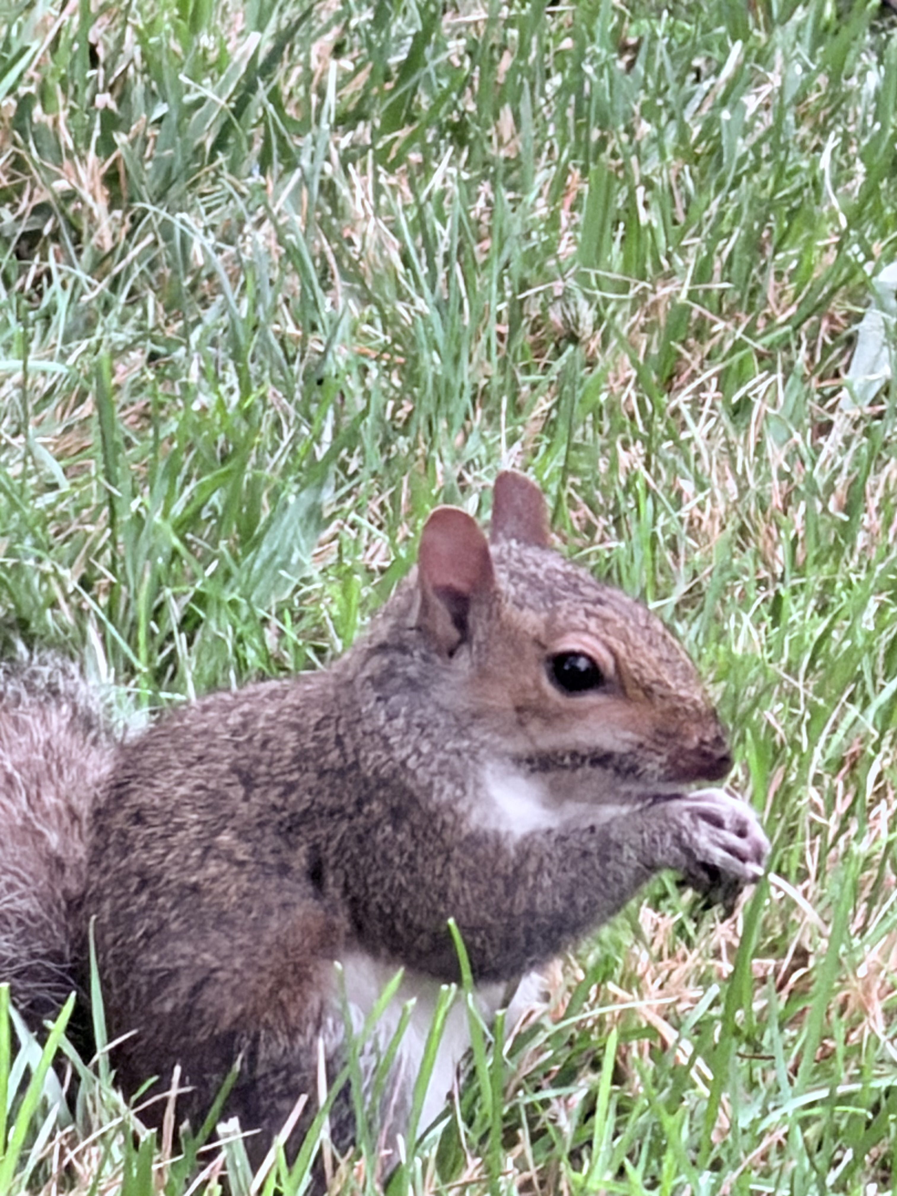 IMG_5620.jpeg
