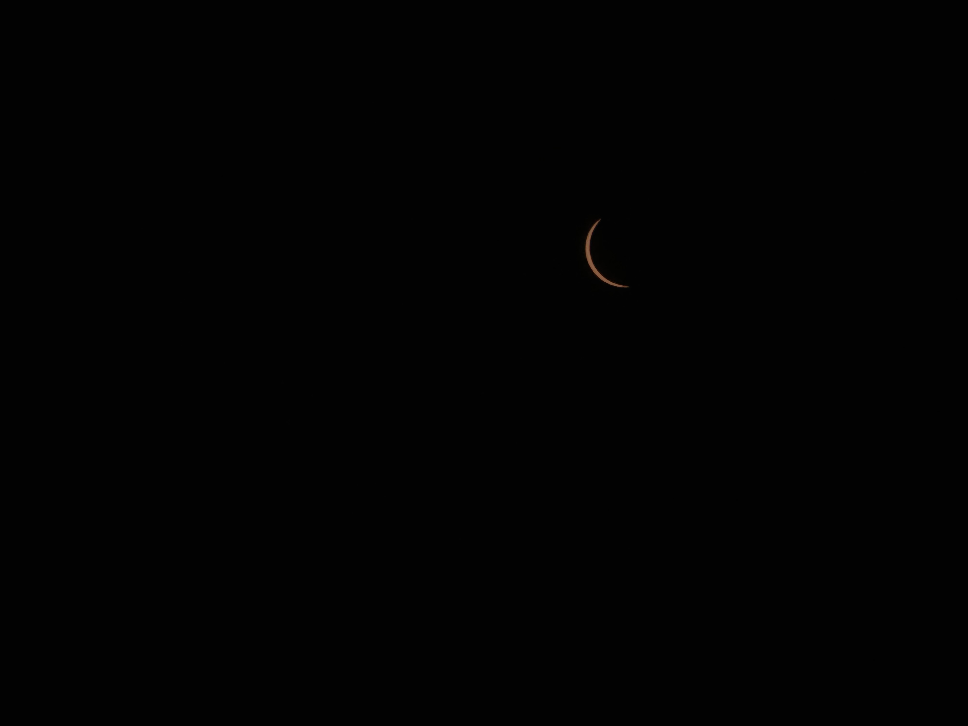 IMG_5659.jpeg