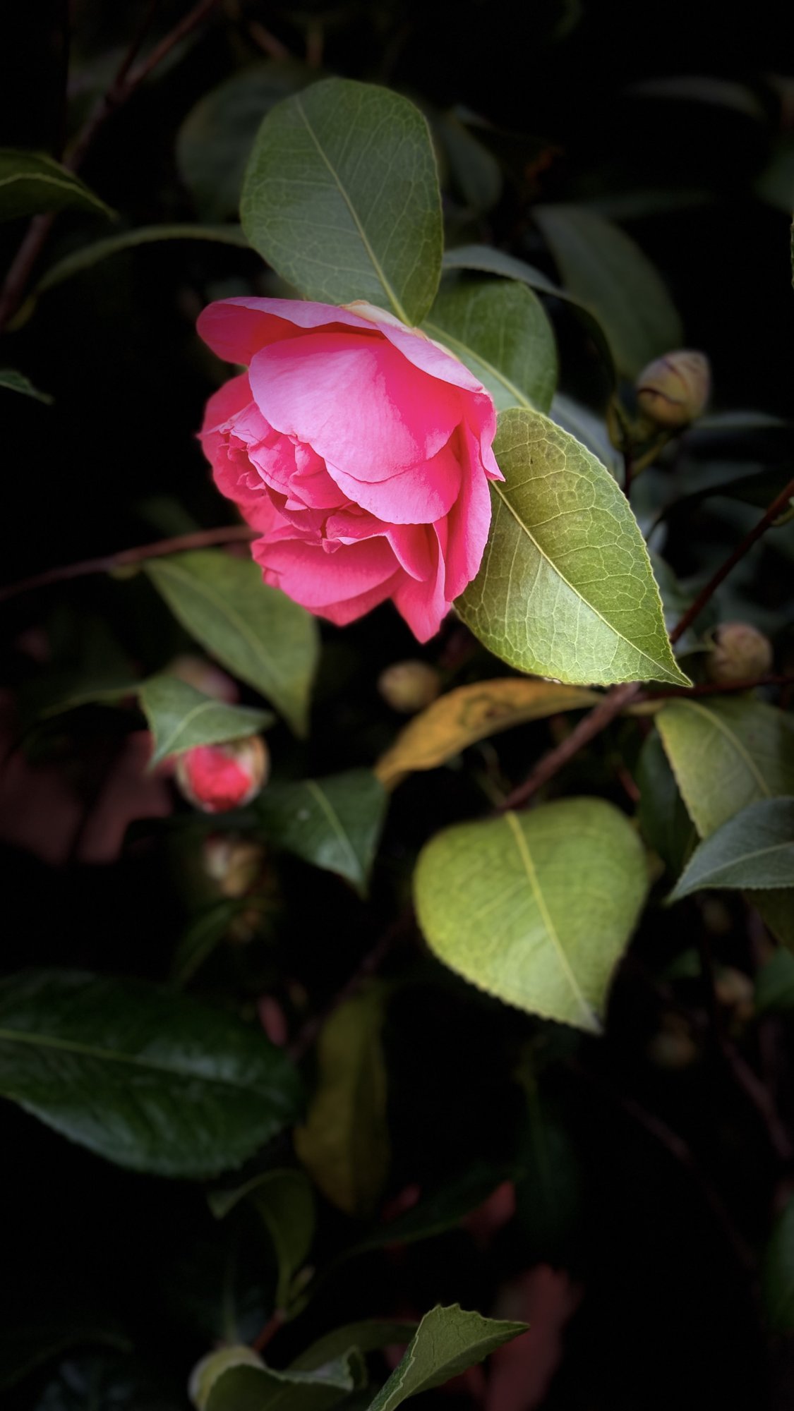 IMG_5668.jpeg