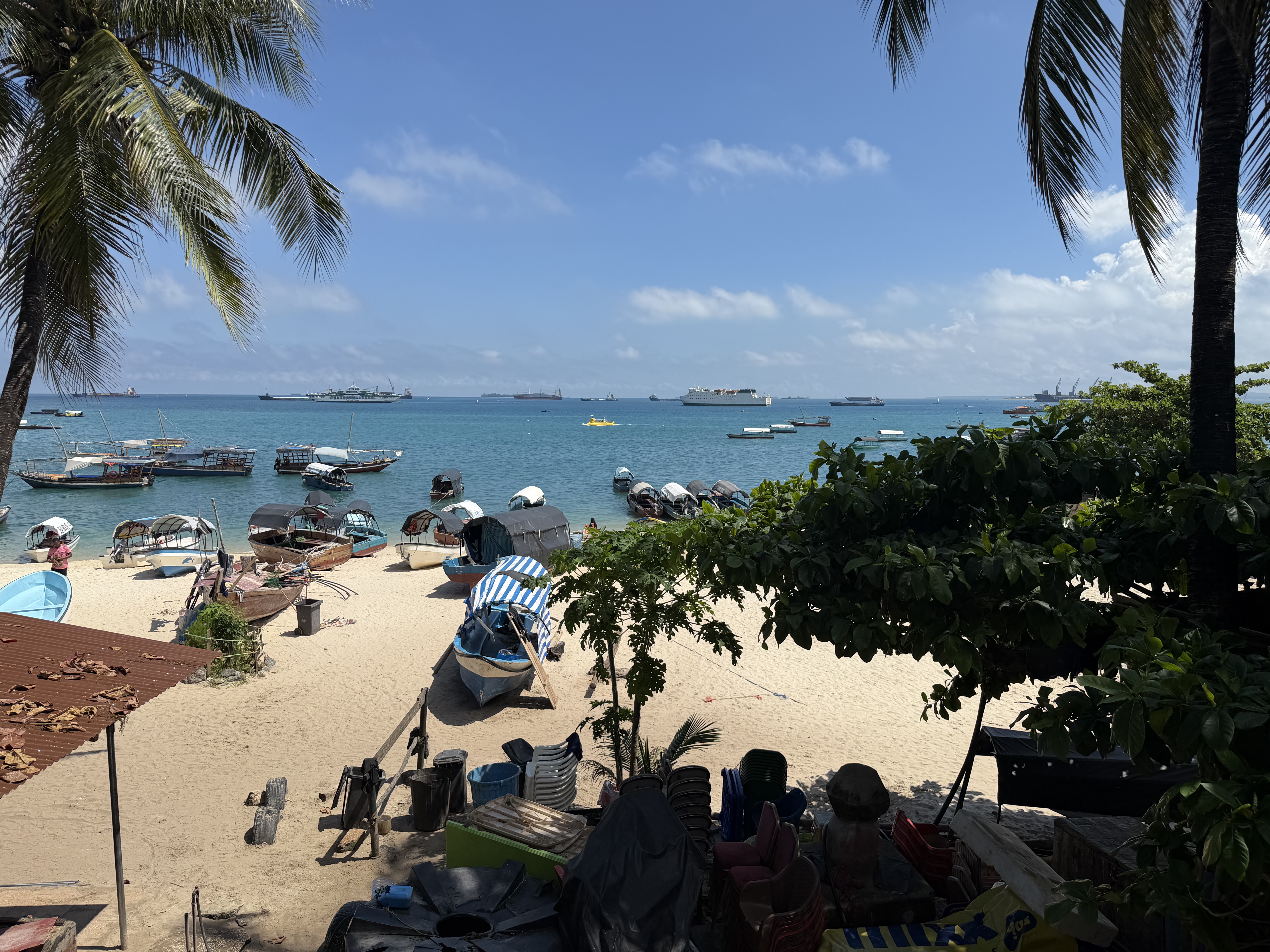 IMG_5738.jpeg