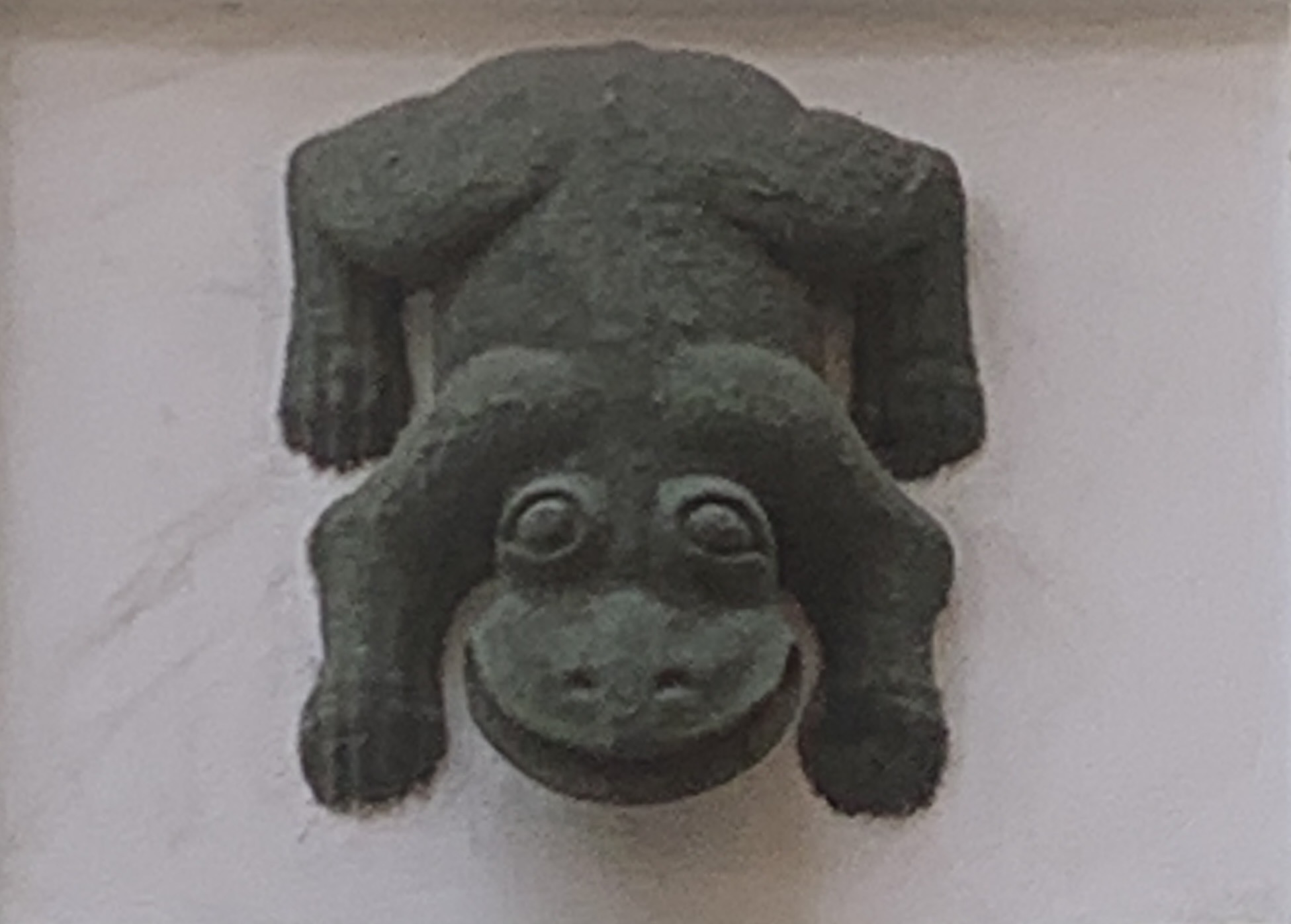 IMG_5790.jpeg