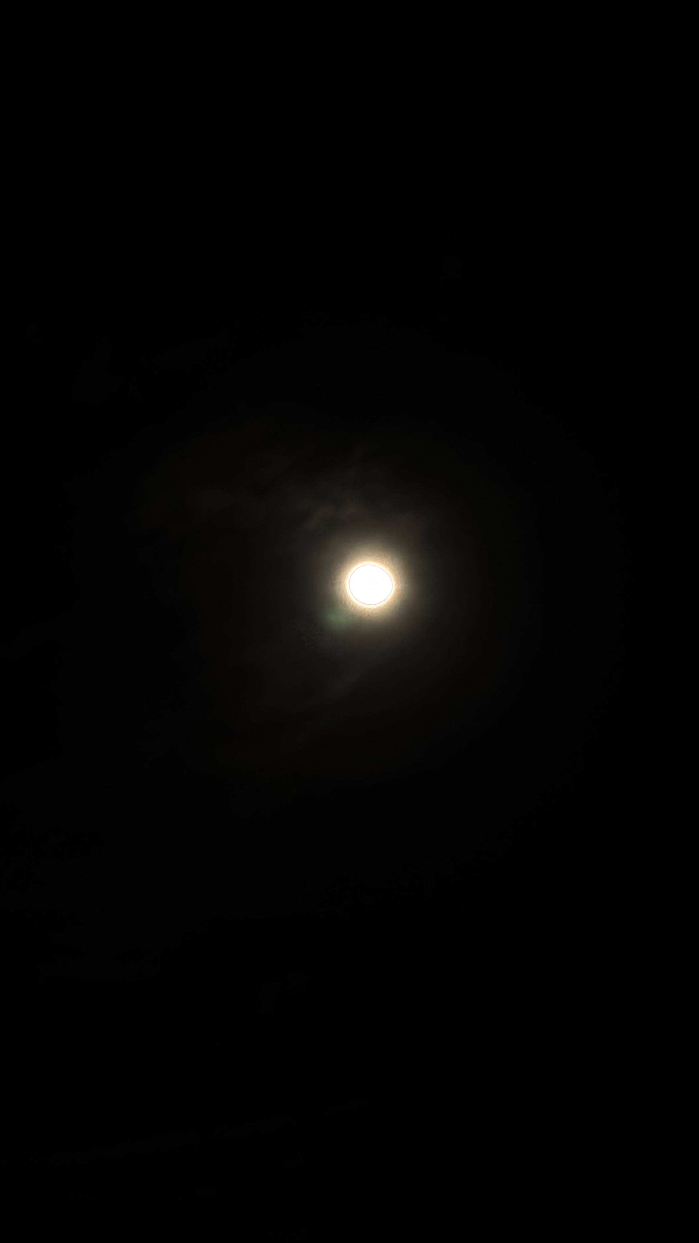 IMG_5937.jpeg