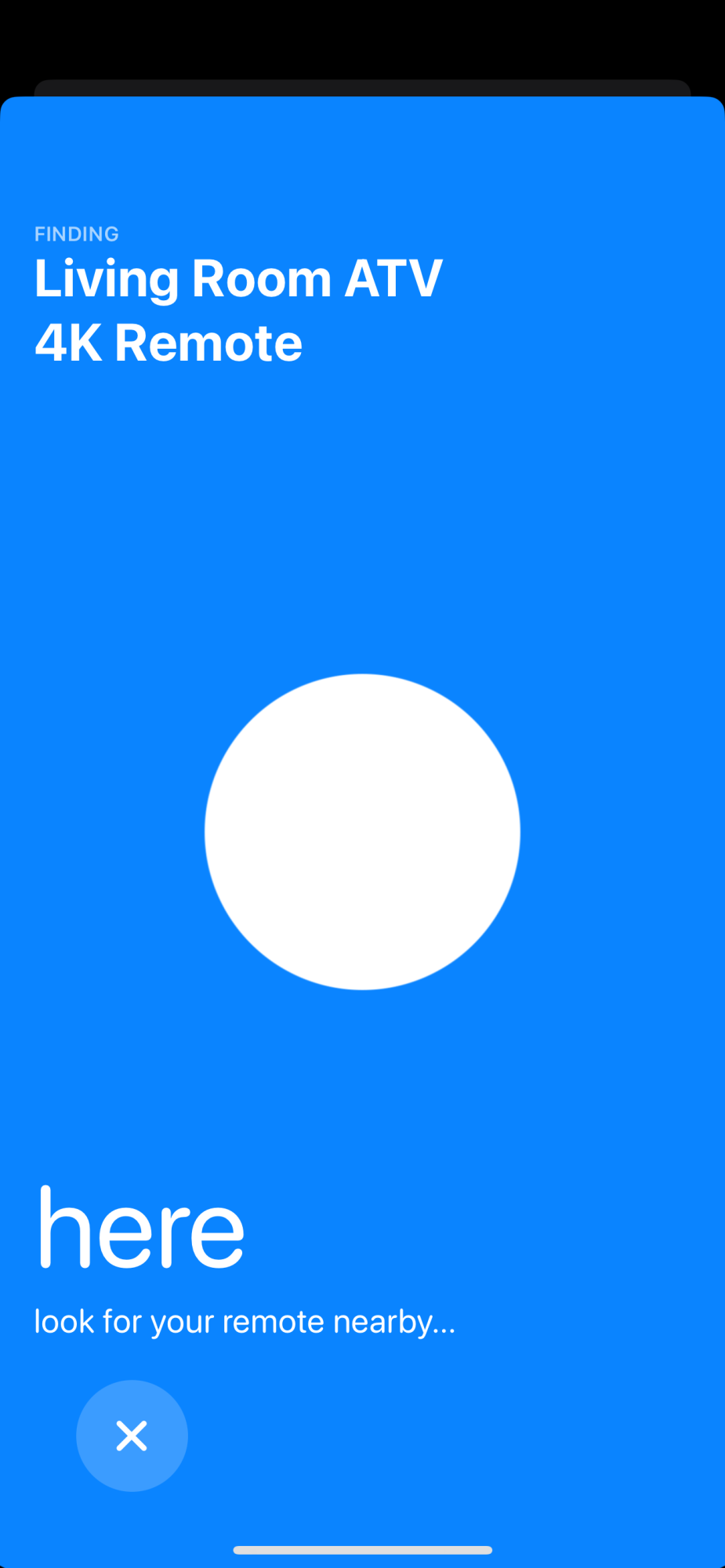IMG_6034.png
