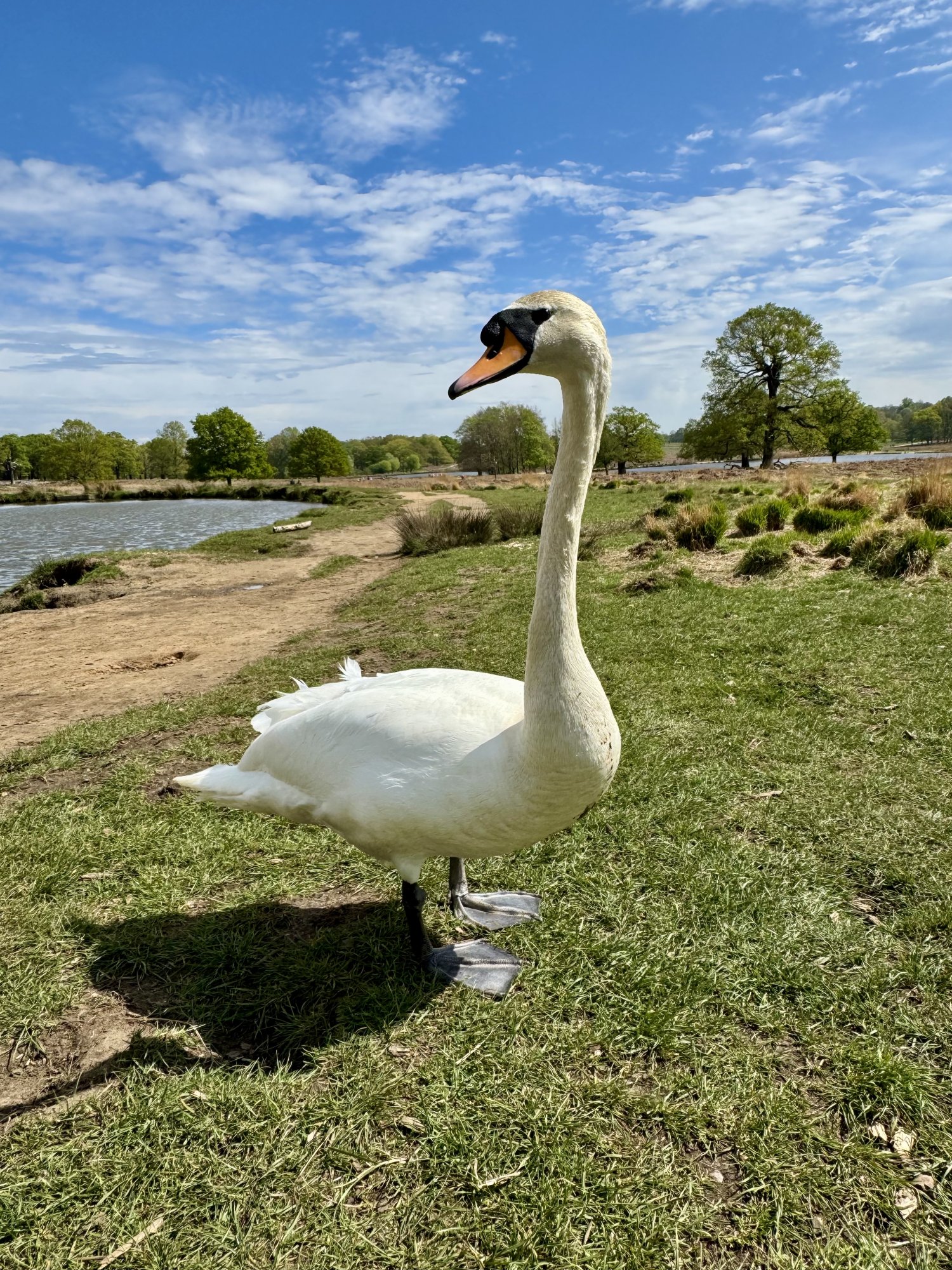 IMG_6104.jpeg