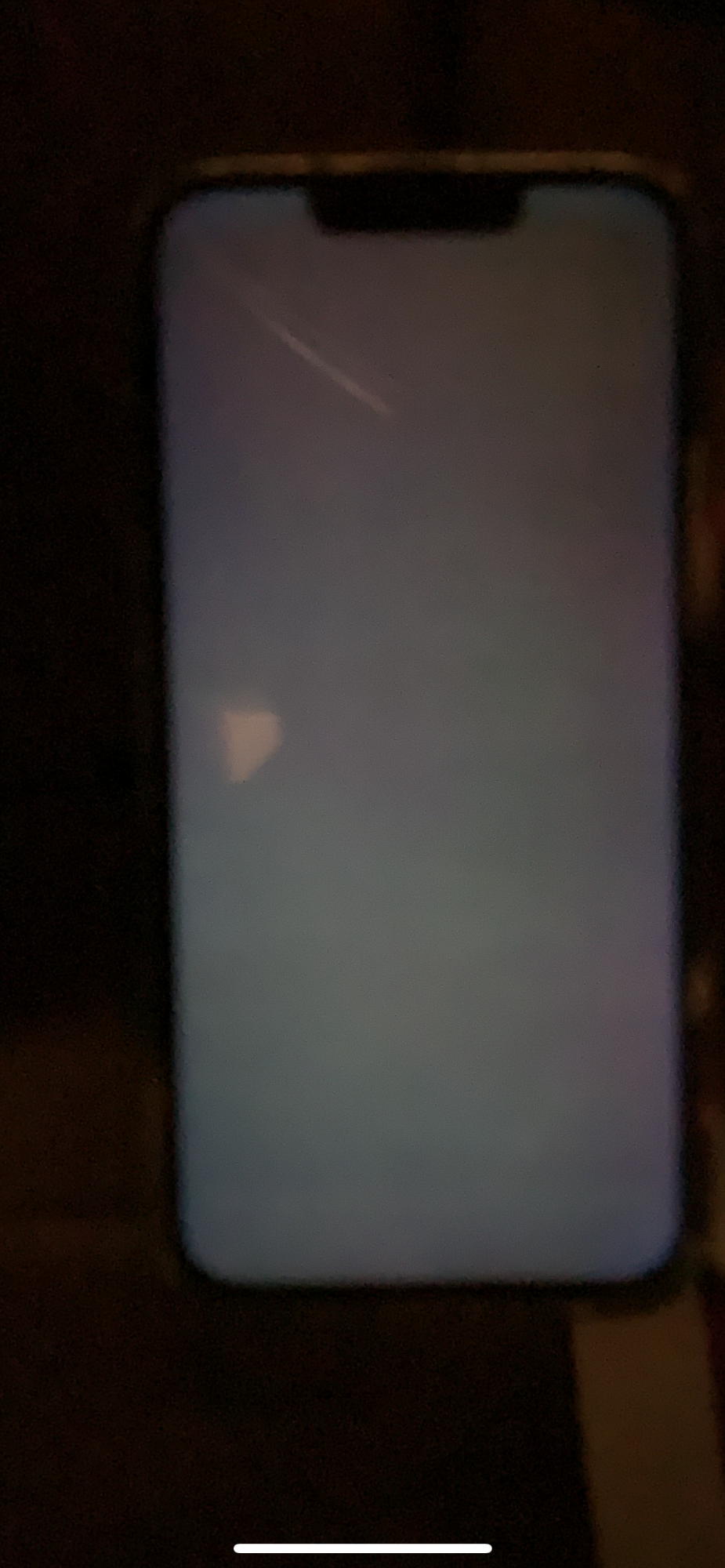 IMG_6142.PNG