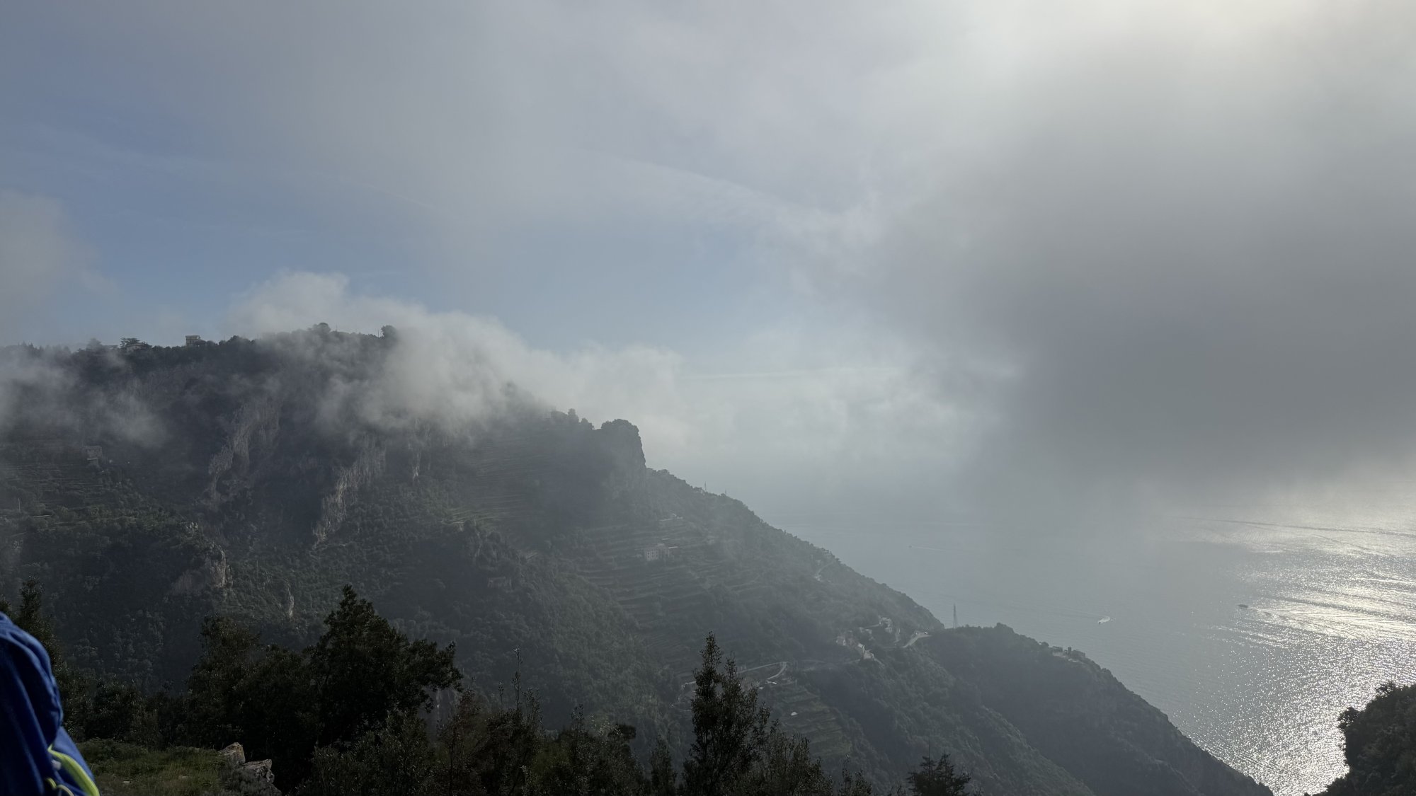 IMG_6309.jpeg