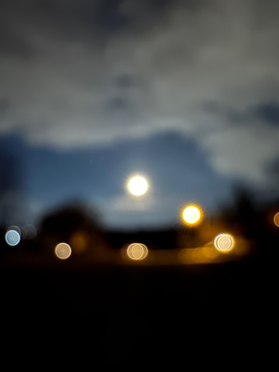 IMG_6402.jpeg