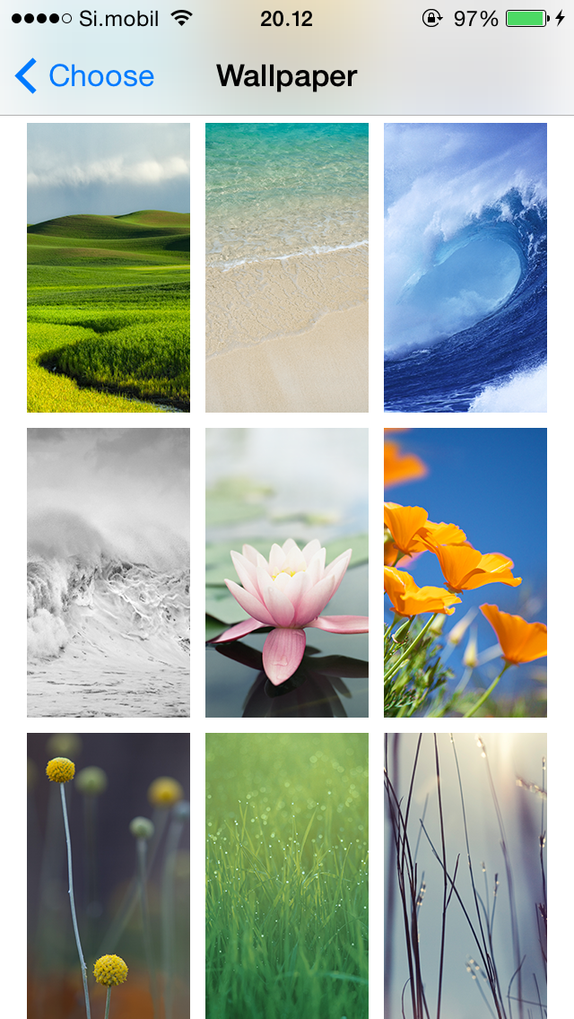 IMG_6495.PNG